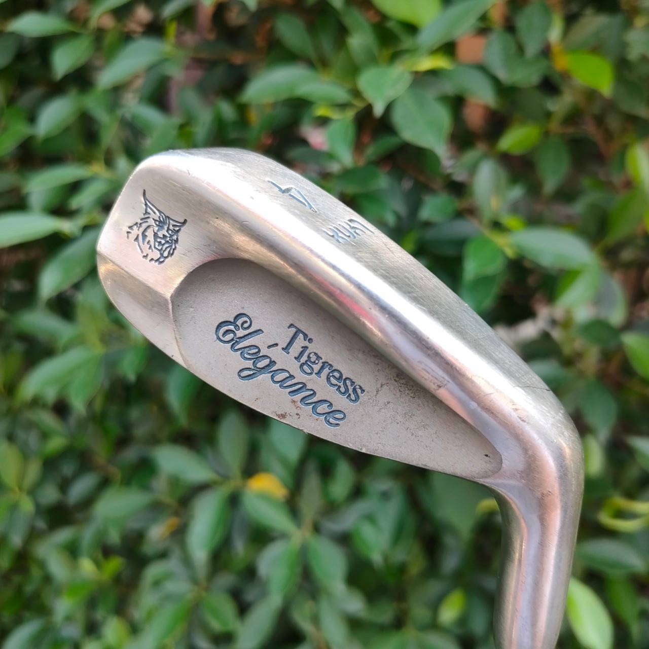 ** ไม้กอล์ฟสำหรับผู้หญิง ** ชุดเหล็ก LYNX TIGRESS ELEGANCE LADY มีเหล็ก 4-9 เเละ SW