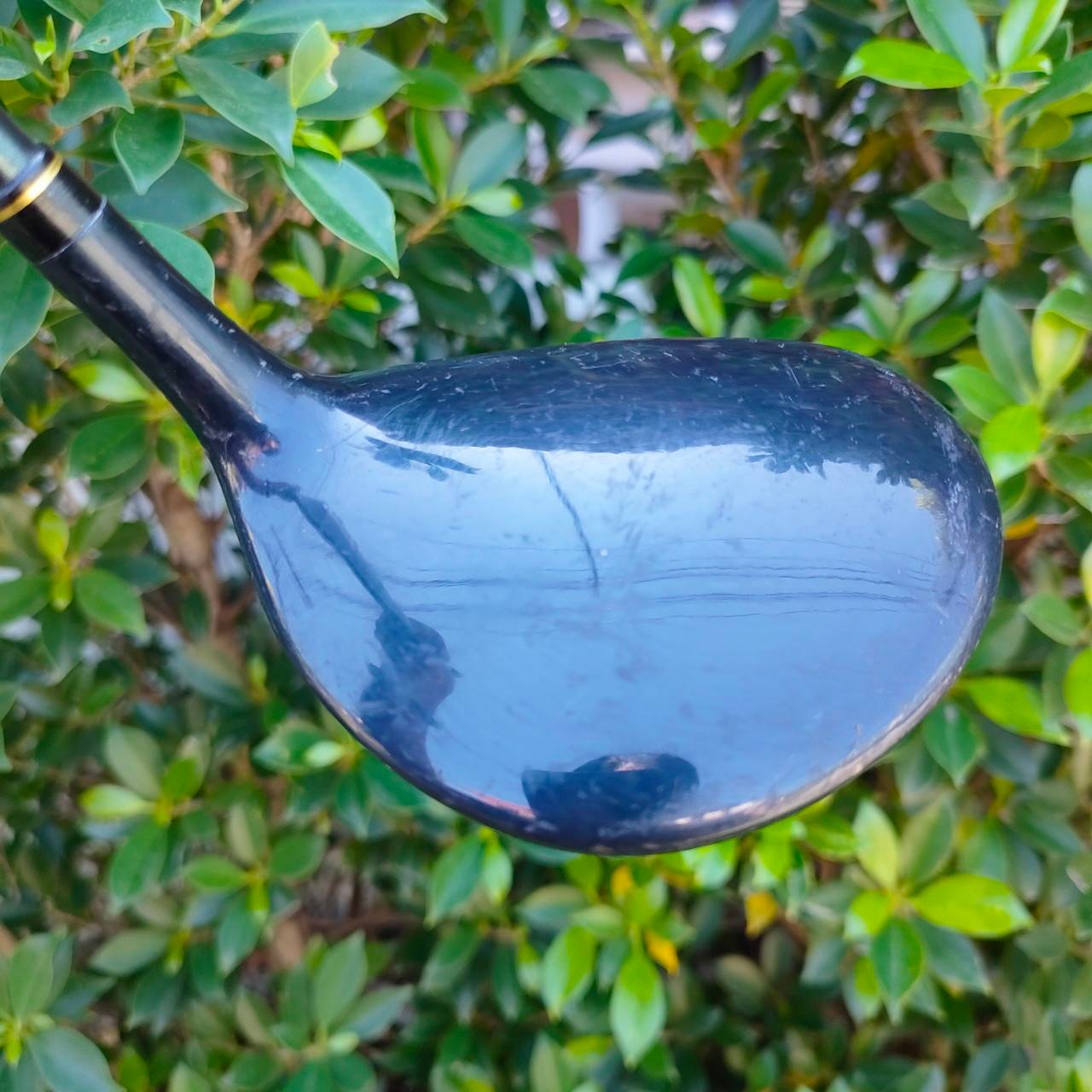 **ไม้กอล์ฟสำหรับผู้หญิง** FW5 KASCO DNA FEREINA LADY ก้าน KASCO FLEX L MADE IN JAPAN