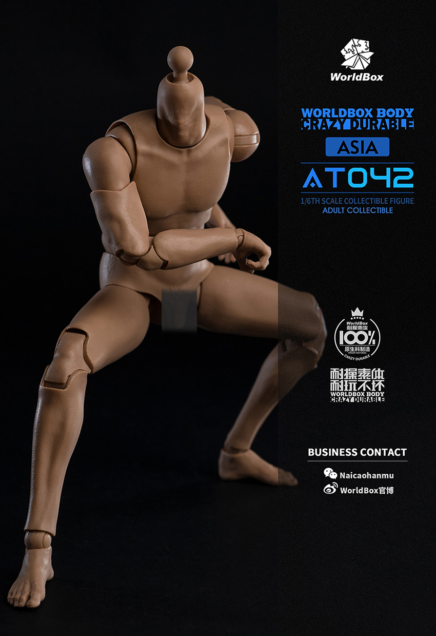 [สั่งจอง]Worldbox AT042 1/6 : Durable Body