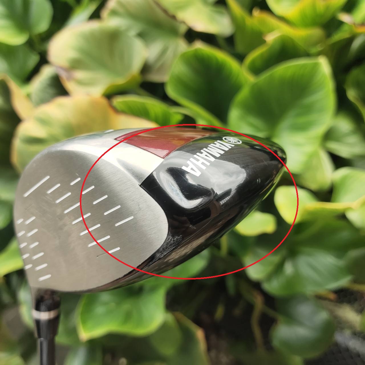 ** มีบุบ ** Driver YAMAHA RMX216 หน้าเด้ง รีดสปีดสูง ลูกพุ่ง ลดสปิน CG ต่ำ ช่วย Launch มุมสูง