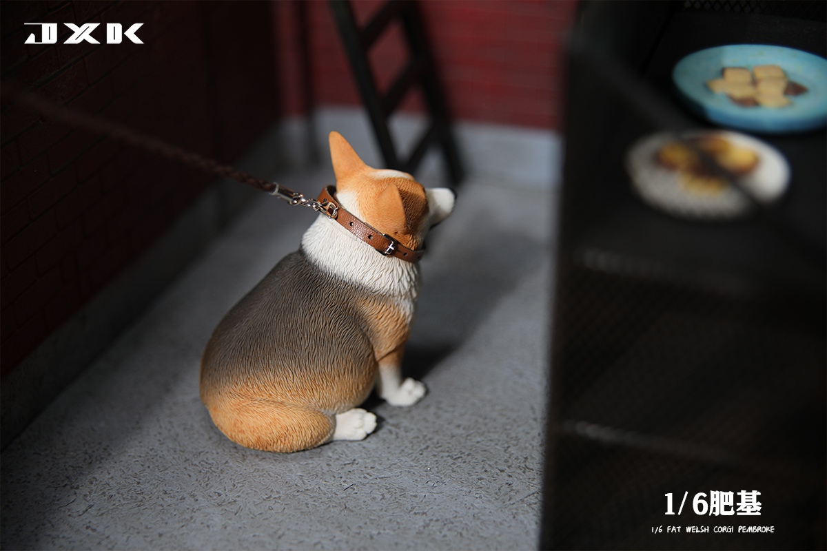[สั่งจอง]JXK 1/6 : Fat Welsh Corgi Pembroke