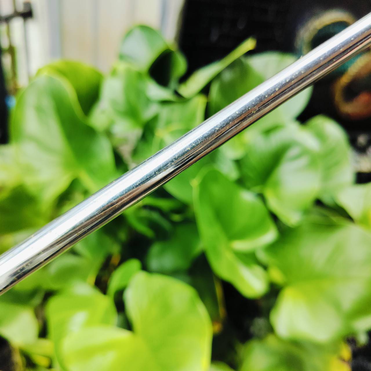 PUTTER PROKENNEX PK-31 ความยาว 34 นิ้ว แบบ 3 บอล เล็งง่ายมากกว่า 2 บอล ชดเชยสูง พัตต์ตรง บล๊านซ์ หน้าอินเซิร์ท พัตต์เกาะไลน์ดีมากเลยค่ะ ไม้กอล์ฟพรีเมี่ยมมือสอง ของแท้ By NakaraLuxurious