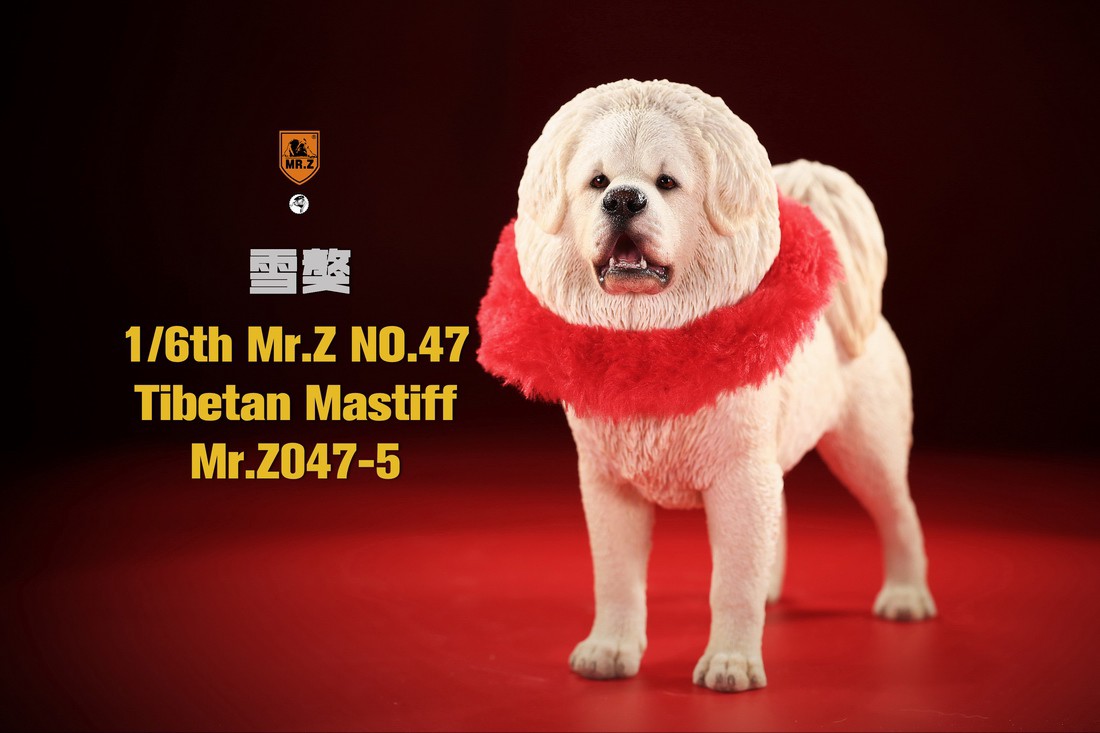 [สั่งจอง] MR. Z Animal Model MRZ047 1/6th Tibetan Mastiff