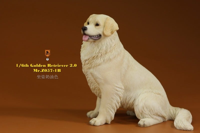 [สั่งจอง]Mr.Z MRZ057 1/6 : Golden Retriever 2.0