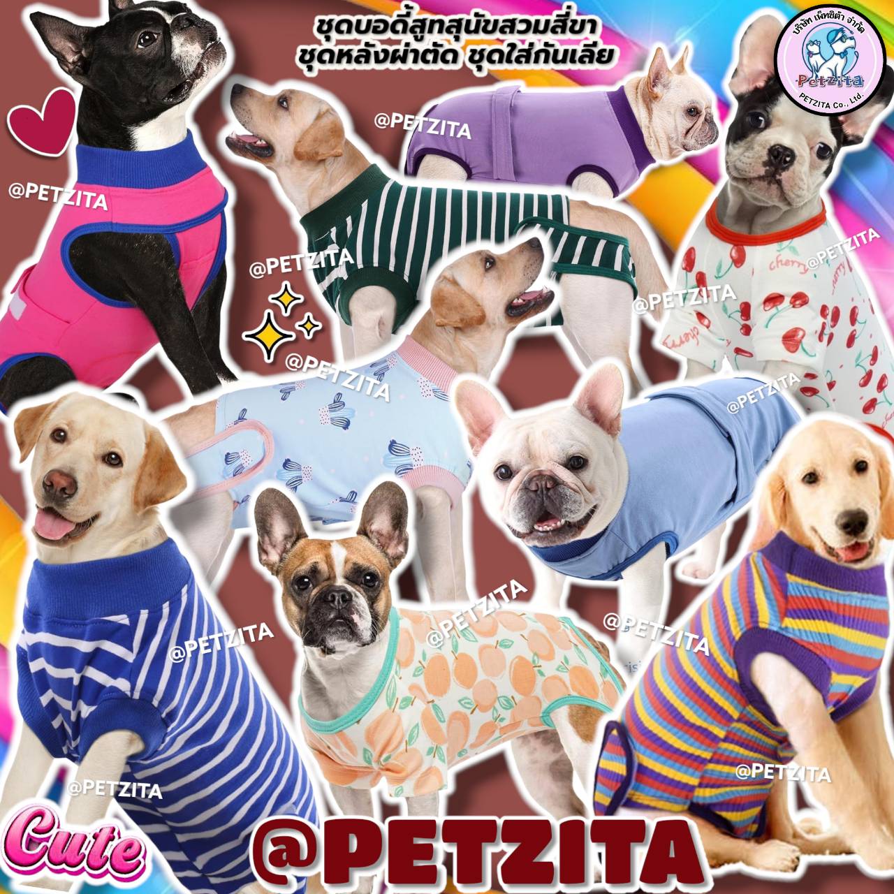🇹🇭พร้อมส่ง🇹🇭 ชุดบอดี้สูท ชุดปิดพุง ชุดกันเลีย ใส่หลังผ่าตัด หลังทำหมัน หย่านม งานแบรนด์ หมาอ้วน หมาใหญ่ สัตว์เลี้ยง สุนัข แมว สุนัขพันธุ์ใหญ่