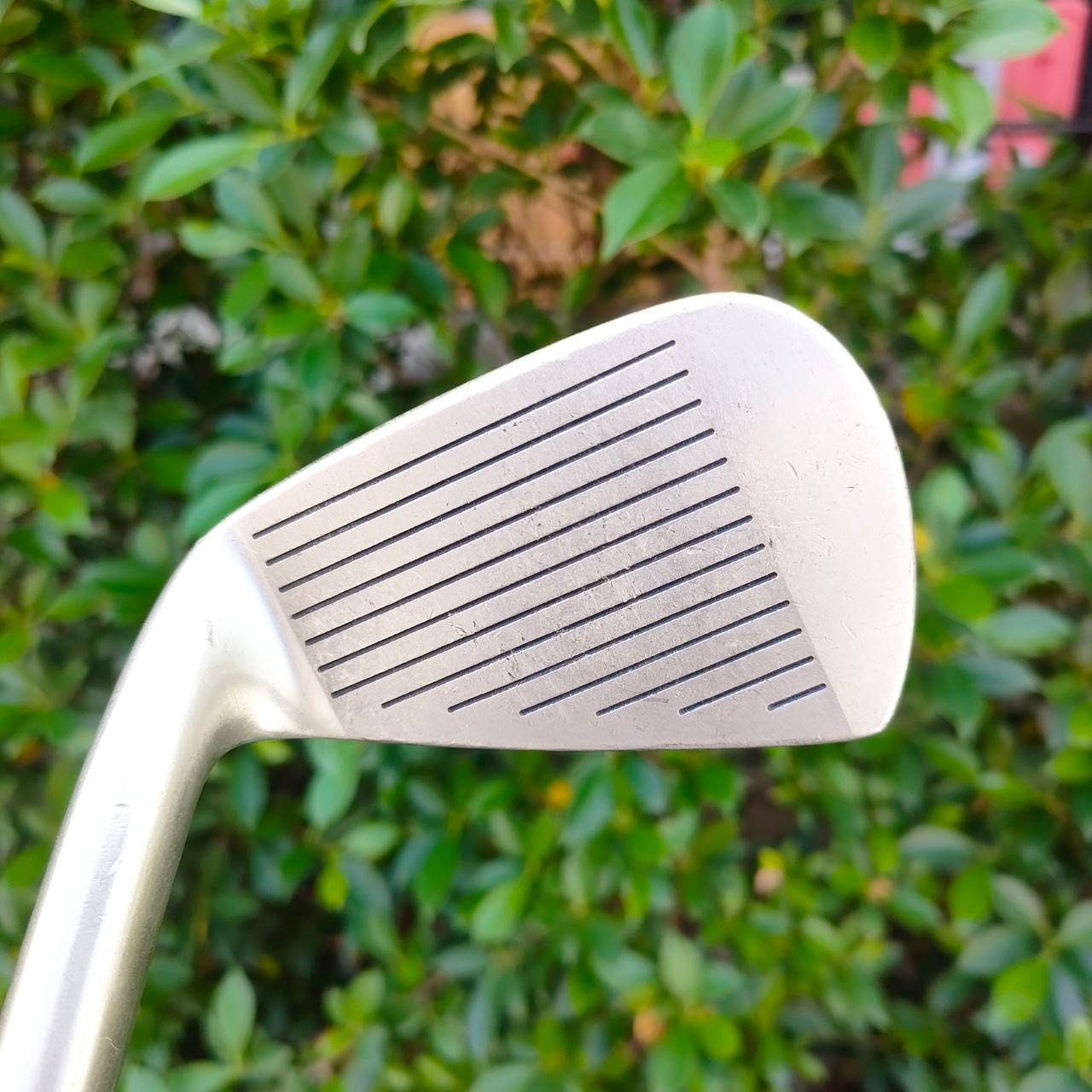 ชุดเหล็ก MIZUNO NOTUS SYNCKRO TURN 52 มีเหล็ก 5-9 เเละ PW FW SW ก้าน TF-PRO HM-50 FLEX 7 MADE IN JAPAN