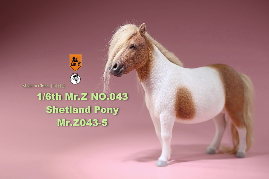 [สั่งจอง]น้องม้าน้อยโพนี่ 1/6 MR. Z Animal Model MRZ043 1/6th Shetland Pony(all 5 colors)