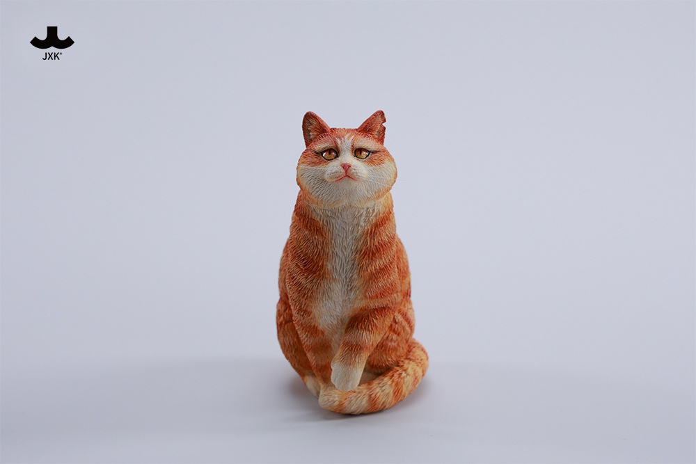 [สั่งจอง]JXK --- The cat of China's Forbidden City - Papa