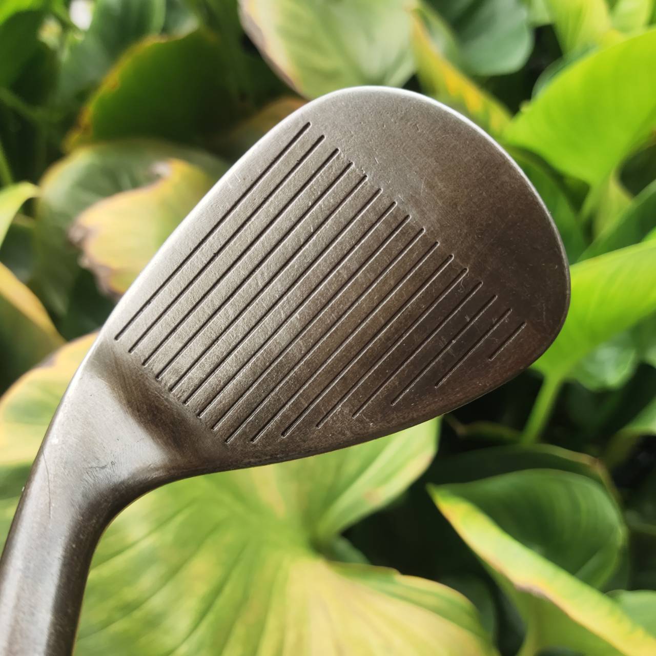 WEDGE TITLEIST VOKEY DESIGN 252-08 OIL CAN 8620 ตำนานของเวดจ์จาก Bob Vokey