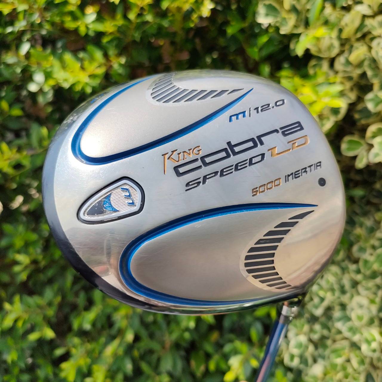 DRIVER KING COBRA SPEED LD องศา 12 ก้าน ALDILA NVS FLEX R ก้านดีมาก หัวใหญ่มาก รุ่นนี้กระดองใหญ่มาก ตีไกลแบบจัดๆๆๆเลยครับ ฟีลลิ่งเหมือนติดสปริง ตีโดนมั่นใจ