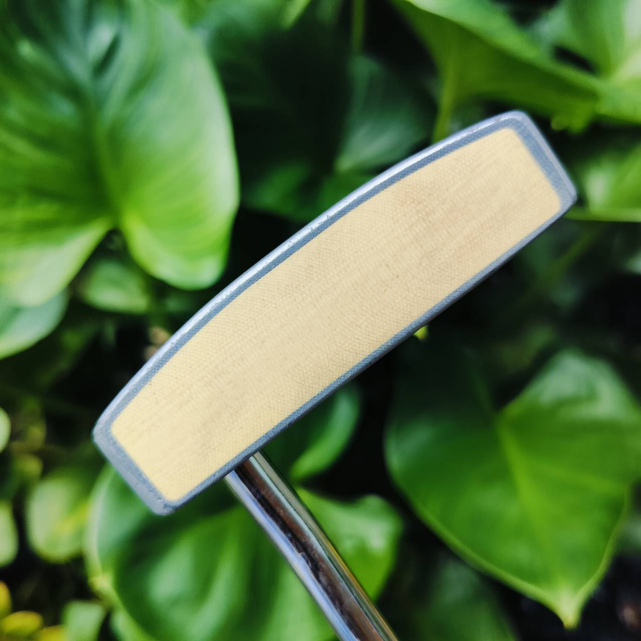 PUTTER PROKENNEX PK-34 ความยาว 34 นิ้ว หน้าอินเซิร์ท ทั้งนุ่มนวลและช่วยให้เกาะไลน์ รูปทรงออกแบบให้ HIGH M.O.I. พัตต์ตรงมาก ไม้กอล์ฟพรีเมี่ยมมือสอง ของแท้ By NakaraLuxurious
