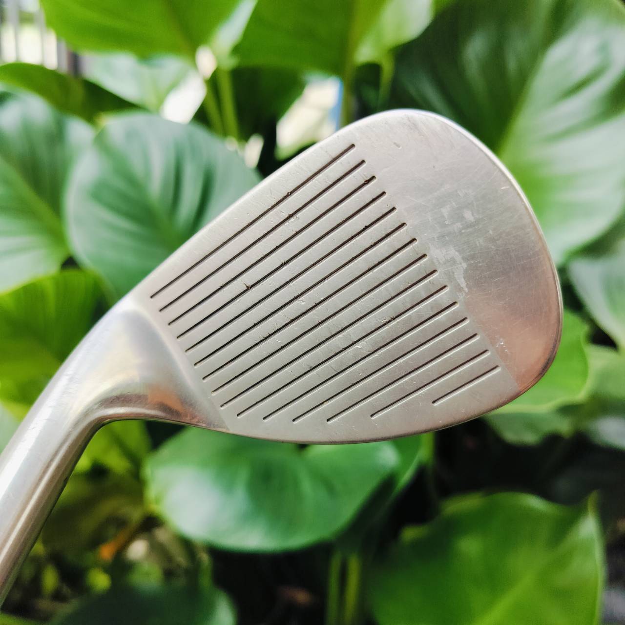SW THE GORILLA TO-BE +1 องศา 56 ก้าน WEDGE FLEX ระเบิดทรายง่าย มี CAVITY ตีลูกลอยง่าย ขึ้นทรายง่าย ก้านเหมาะกับ WEDGE โดยตรง ไม้กอล์ฟพรีเมี่ยมมือสอง ของแท้ By NakaraLuxurious
