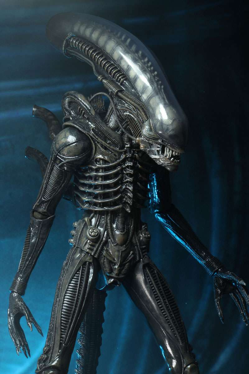 [สั่งจอง] Neca : Alien [Reissue]