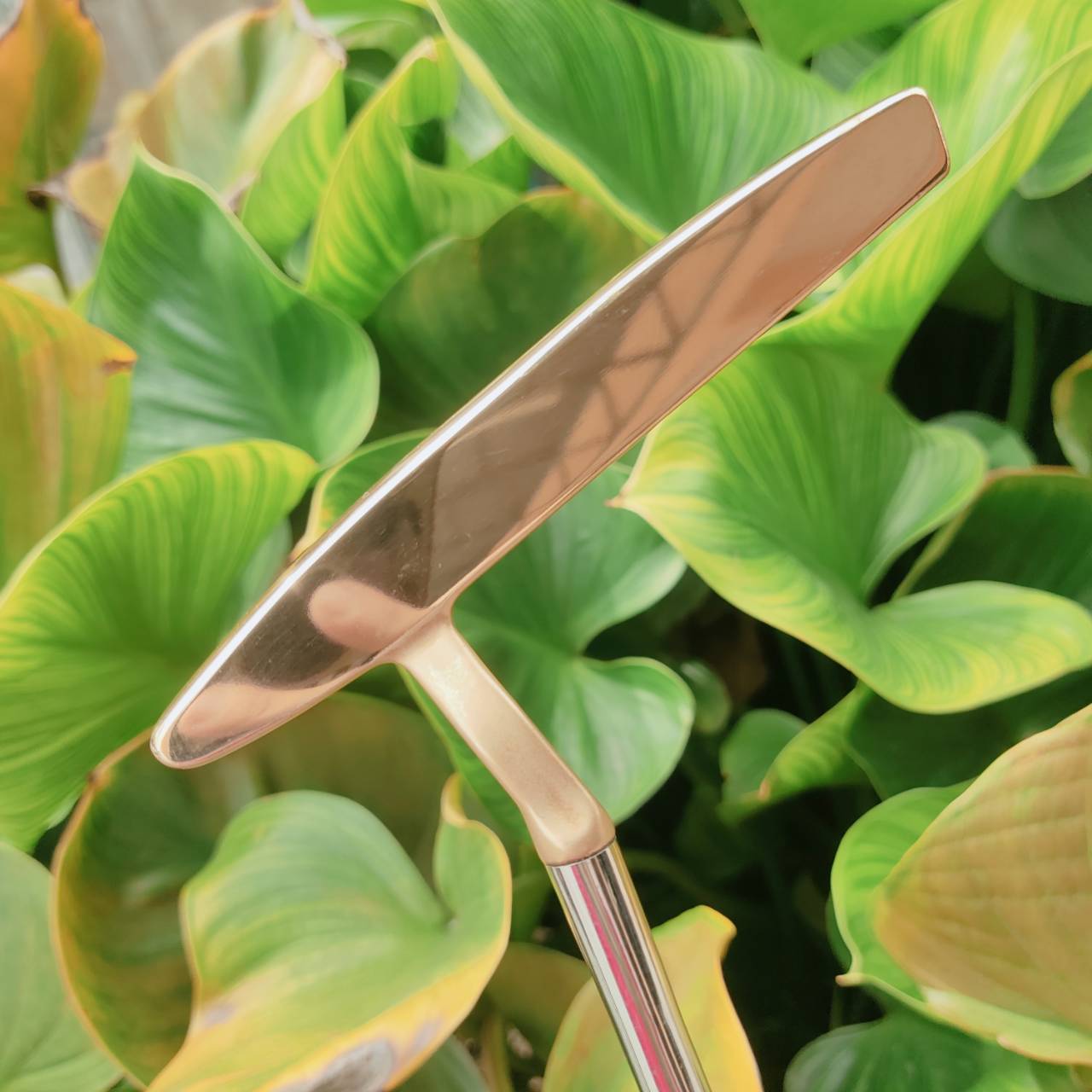 PUTTER PING PAL 6 – BECU (Beryllium Copper) ผลิตจากทองแดงแท้ทั้งชิ้น!