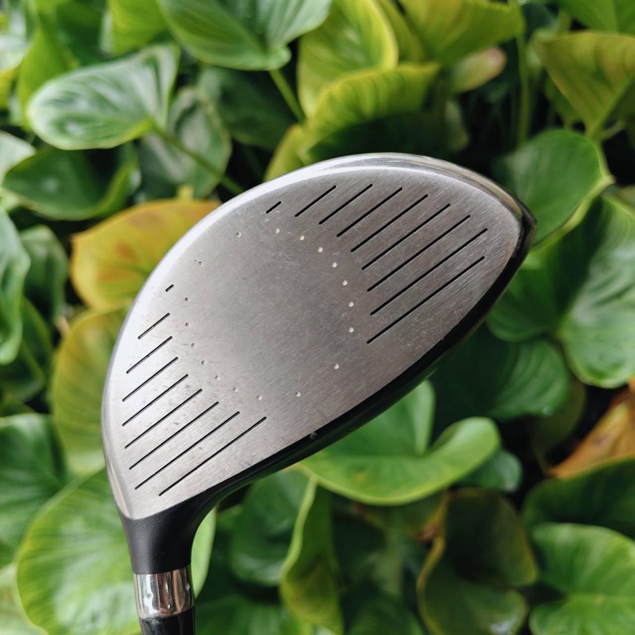 DRIVER NIKE SQ DYMO หัวไม้ซีรีส์ DYMO (Dynamic Moment of Inertia) “เสถียรสูง – หน้าไม้คืนตัวไว”