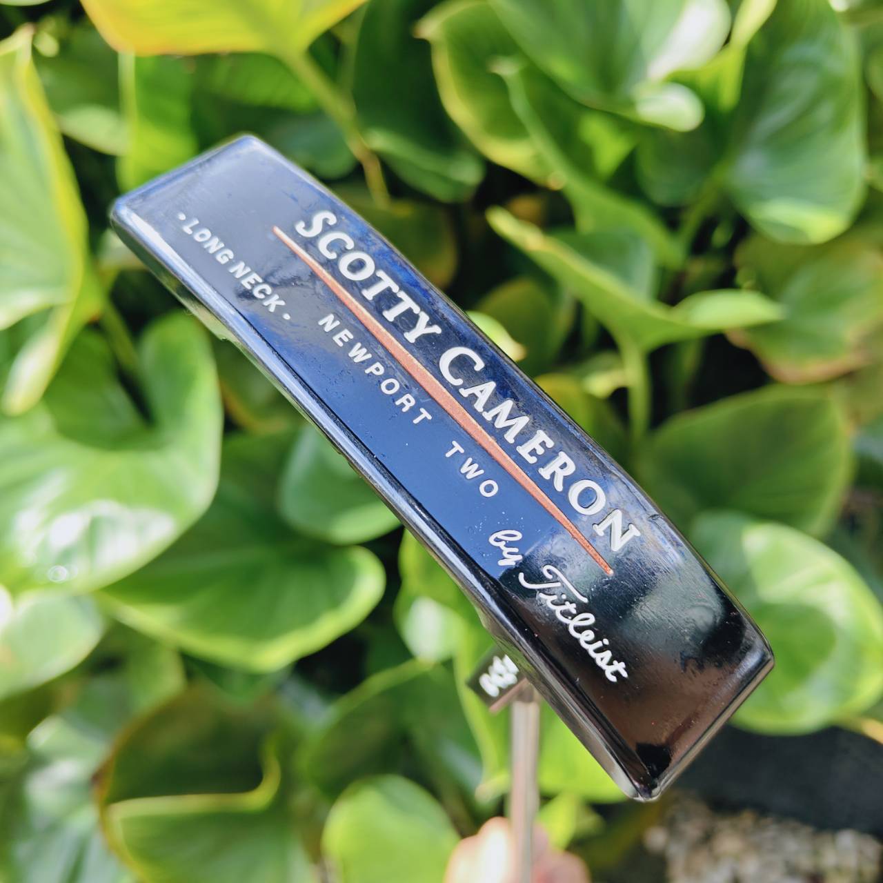 Scotty Cameron Teryllium / Tel³ Newport® 2 Long Neck อัลลอยด์โลหะ 12 ชนิด สุดยอดฟีลลิ่ง!