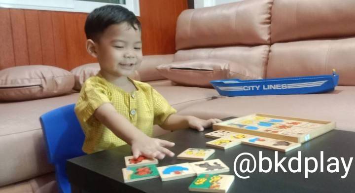 เกมจับคู่สัญลักษณ์แม่-ลูก ชุดสัตว์เลี้ยง , ของเล่นไม้, ของเล่นเสริมพัฒนาการ, ของเล่นเด็กอนุบาล, สื่อการสอนเด็กอนุบาล