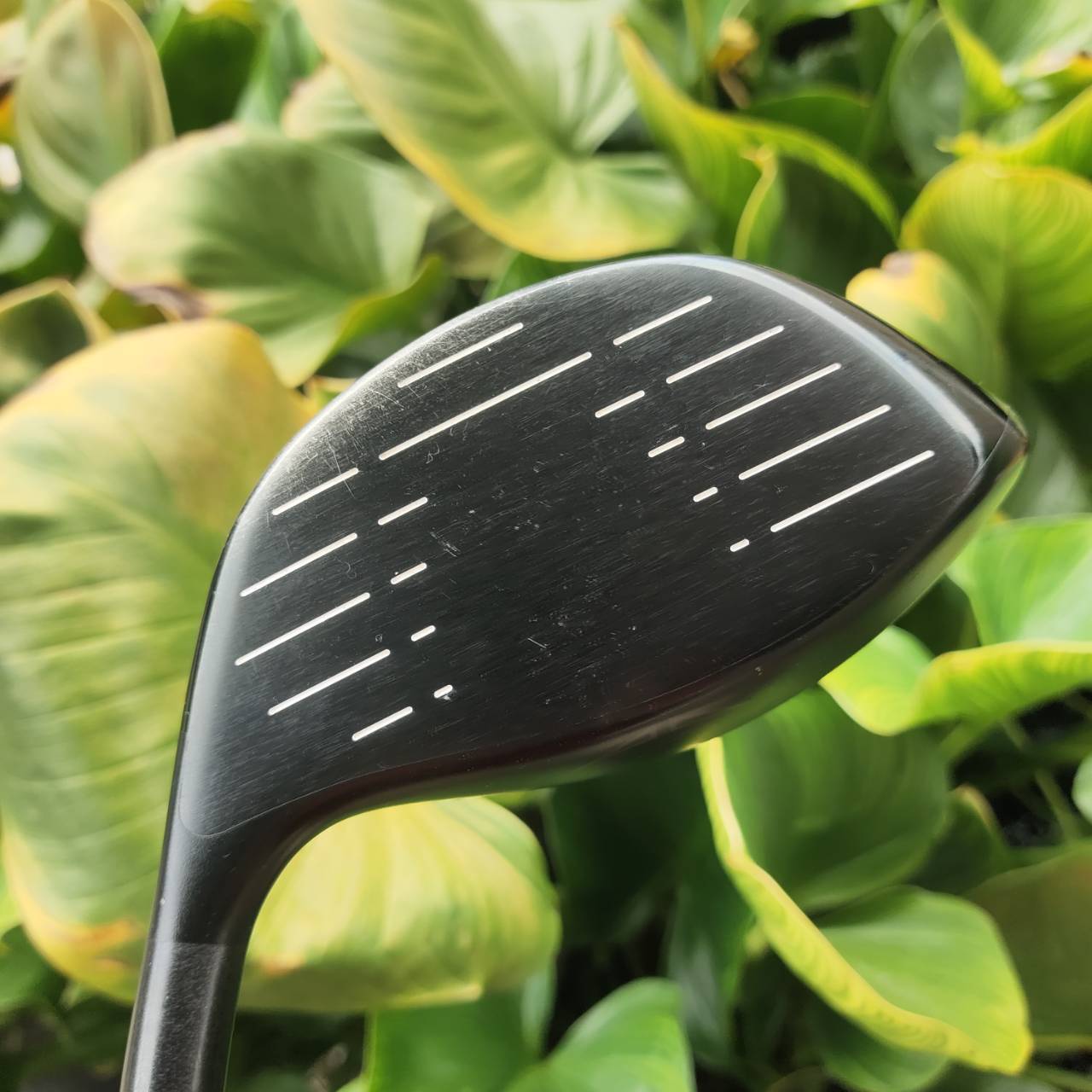 Driver PING i20 – Loft 10.5° ก้าน Project X 6.0 (Stiff) ตีง่าย ลูกลอยดี ควบคุมทิศทางได้ดี
