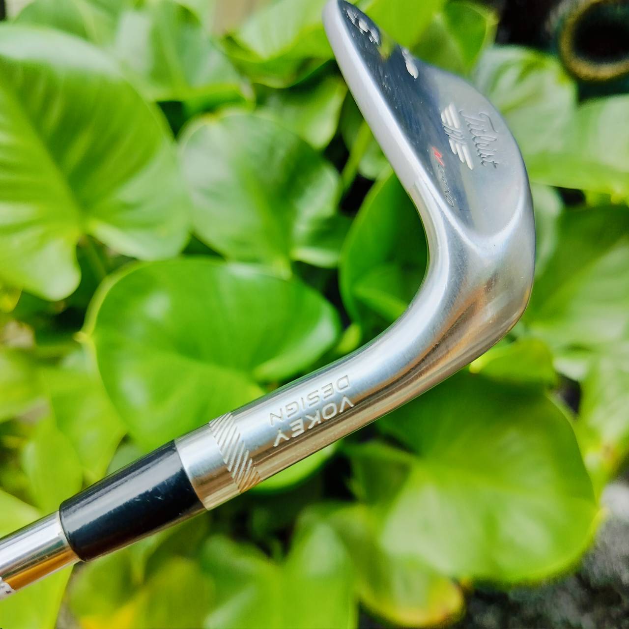 WEDGE Titleist SM6 สภาพสวยมาก องศา 56 BONCE 8 M Grind M GRIND การเจียรฐานที่ บ็อบ โวกี้ ชื่นชอบที่สุด ไม้กอล์ฟพรีเมี่ยมมือสอง ของแท้ By NakaraLuxurious