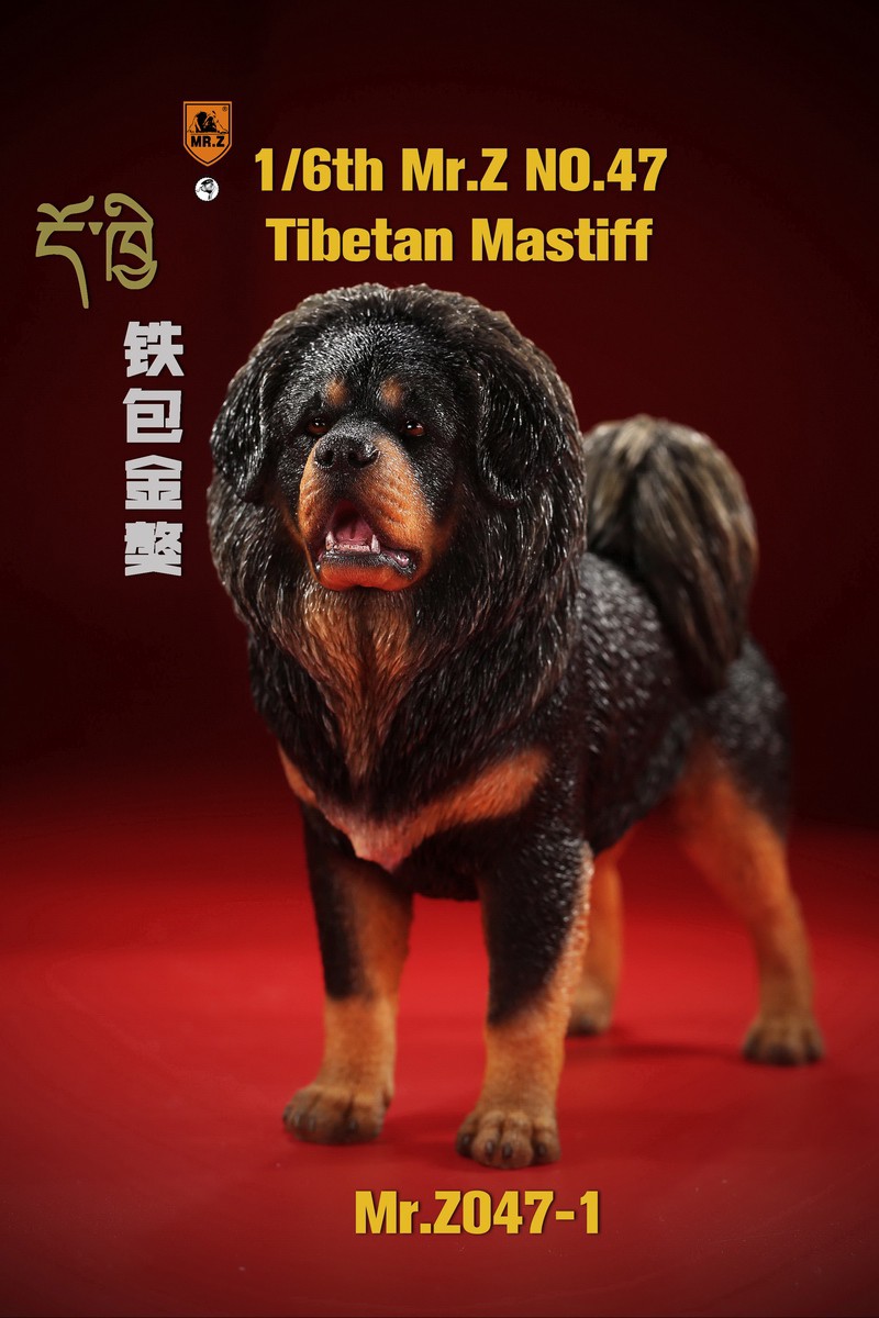 [สั่งจอง] MR. Z Animal Model MRZ047 1/6th Tibetan Mastiff