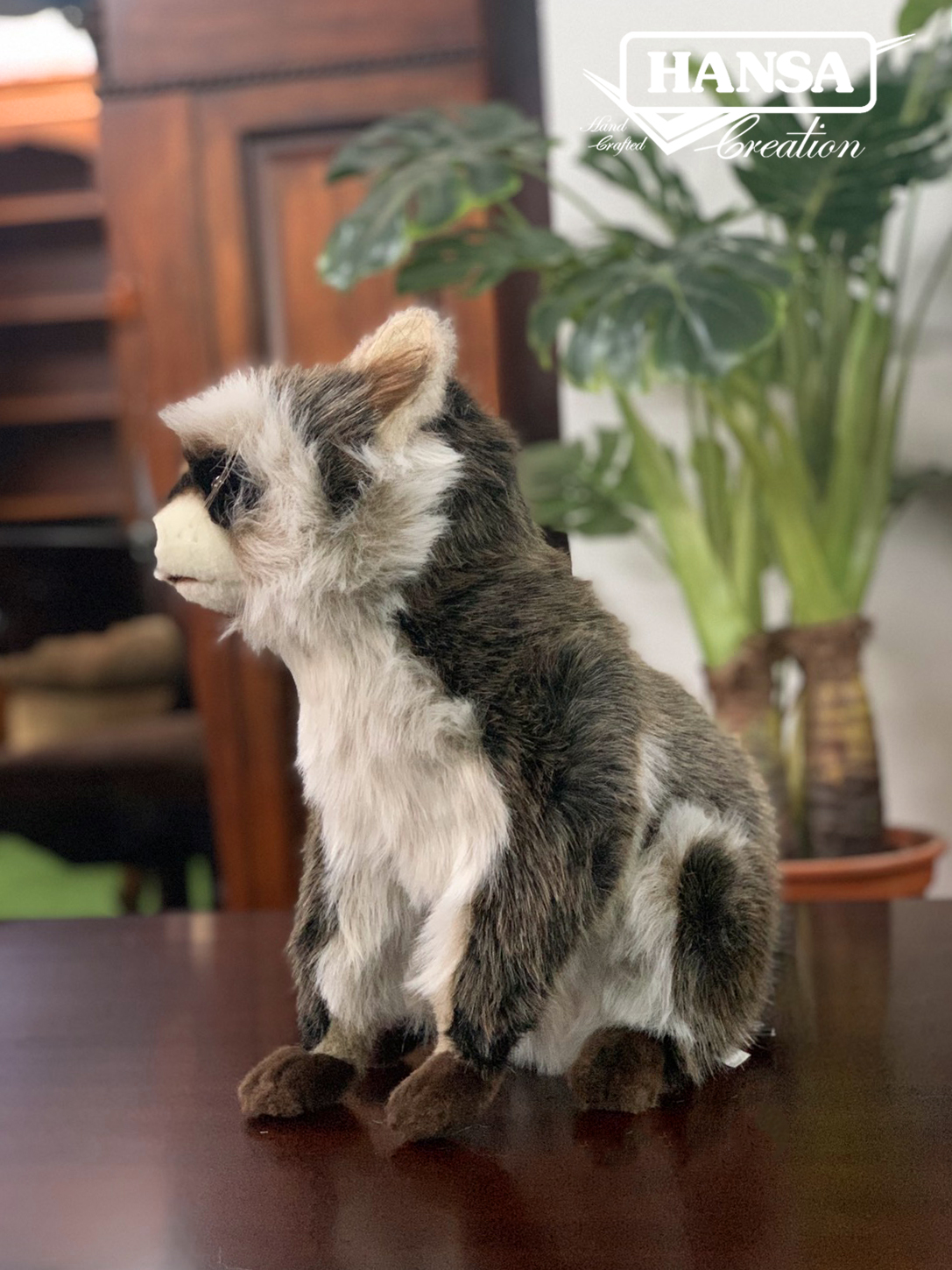 7493 Raccoon Sitting 31 cm.H