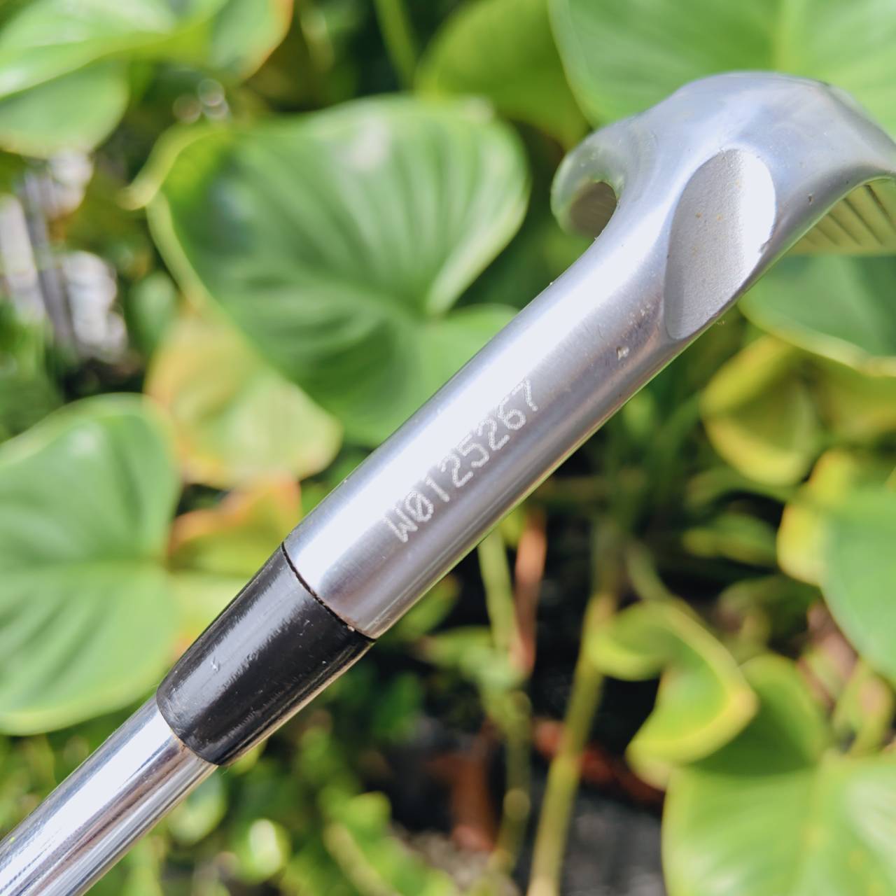 WEDGE PING TOUR-W – 54° | Bounce 10° ความแม่นยำรอบกรีนที่คุณต้องลอง!