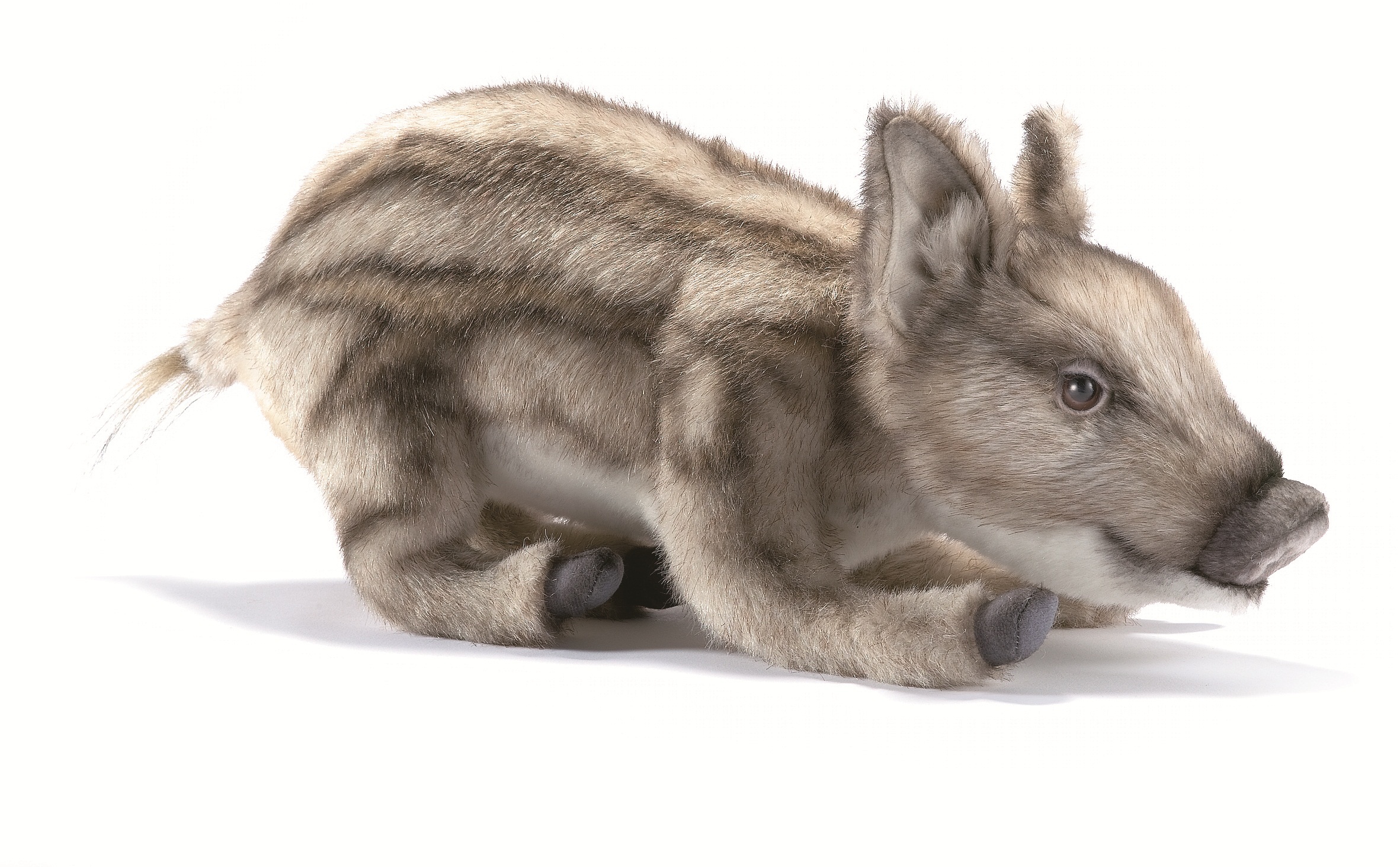 5027 Wild Pig Baby Laying 37 cm.L