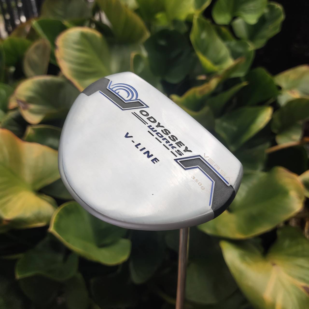 PUTTER ODYSSEY WORKS หัวทรง Mallet V-LINE VERSA 34" หน้าสัมผัสเกาะไลน์ขั้นสุด!!!