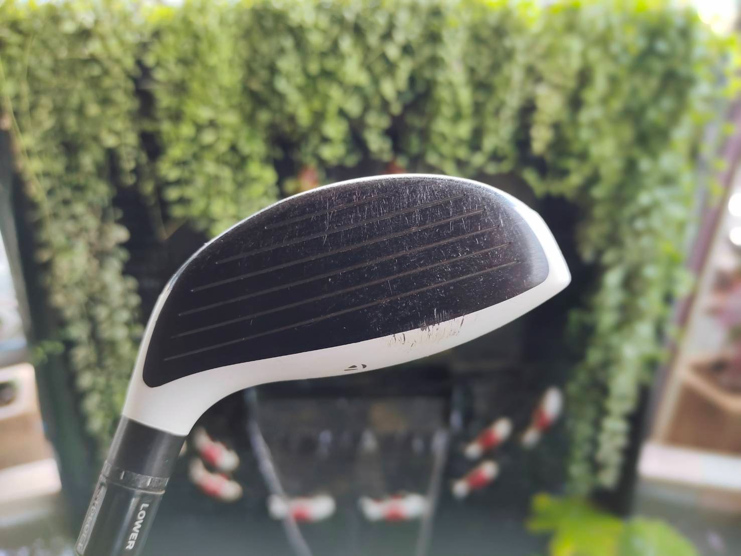 FW5 Taylormade R11
