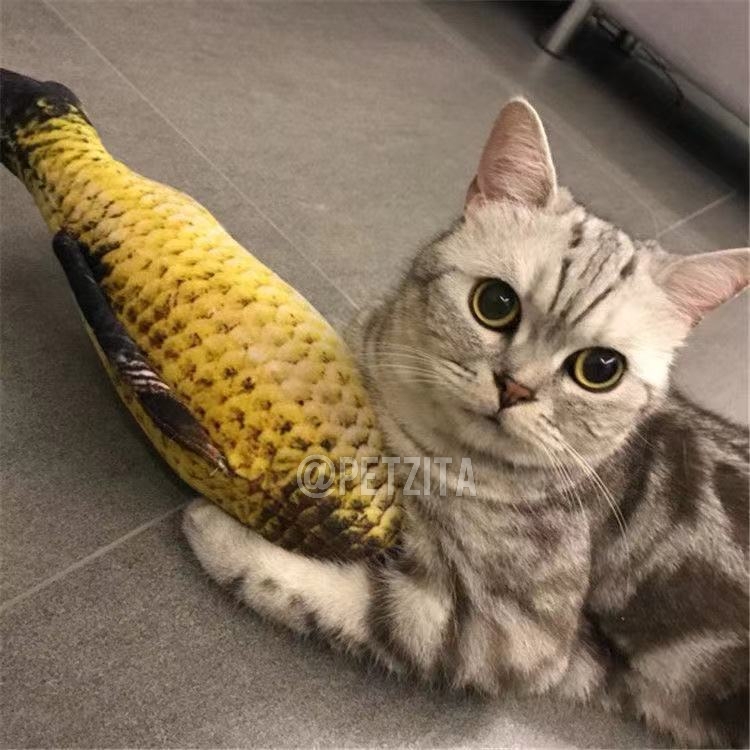 🇹🇭พร้อมส่ง🇹🇭 ตุ๊กตาปลาแคทปนิป 🐟🐠🦈 ยัดในผสมไส้แคทนิป หญ้ากัญชาแมว