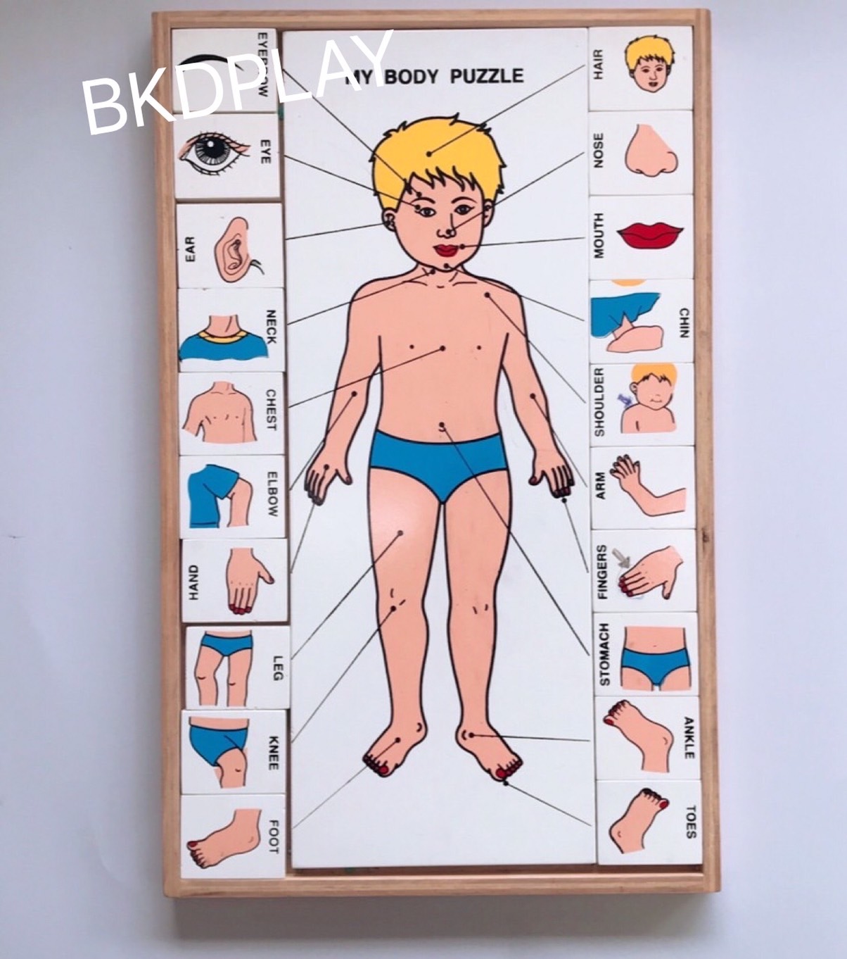 ของเล่น, ของเล่นเด็ก, จิ๊กซอว์, ตัวต่อ, จับคู่ร่างกายของฉัน (ภาษาอังกฤษ) , ของเล่นไม้, ของเล่นเสริมพัฒนาการ, ของเล่นเด็กอนุบาล, สื่อการสอนเด็กอนุบาล