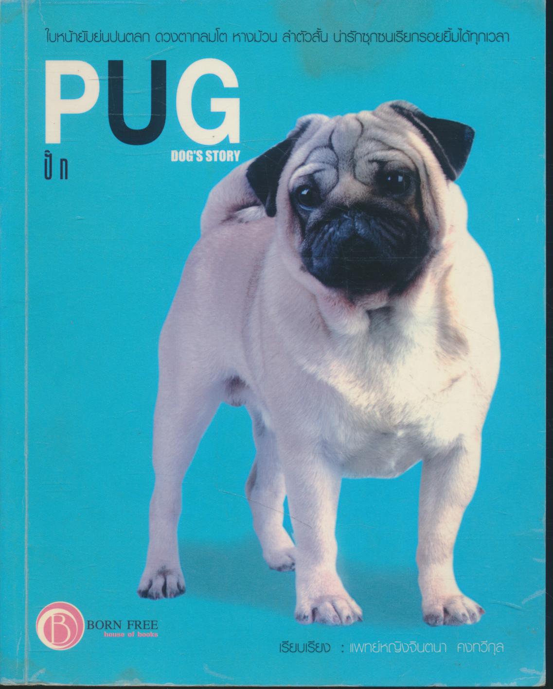 PUG ปั๊ก DOG'S STORY
