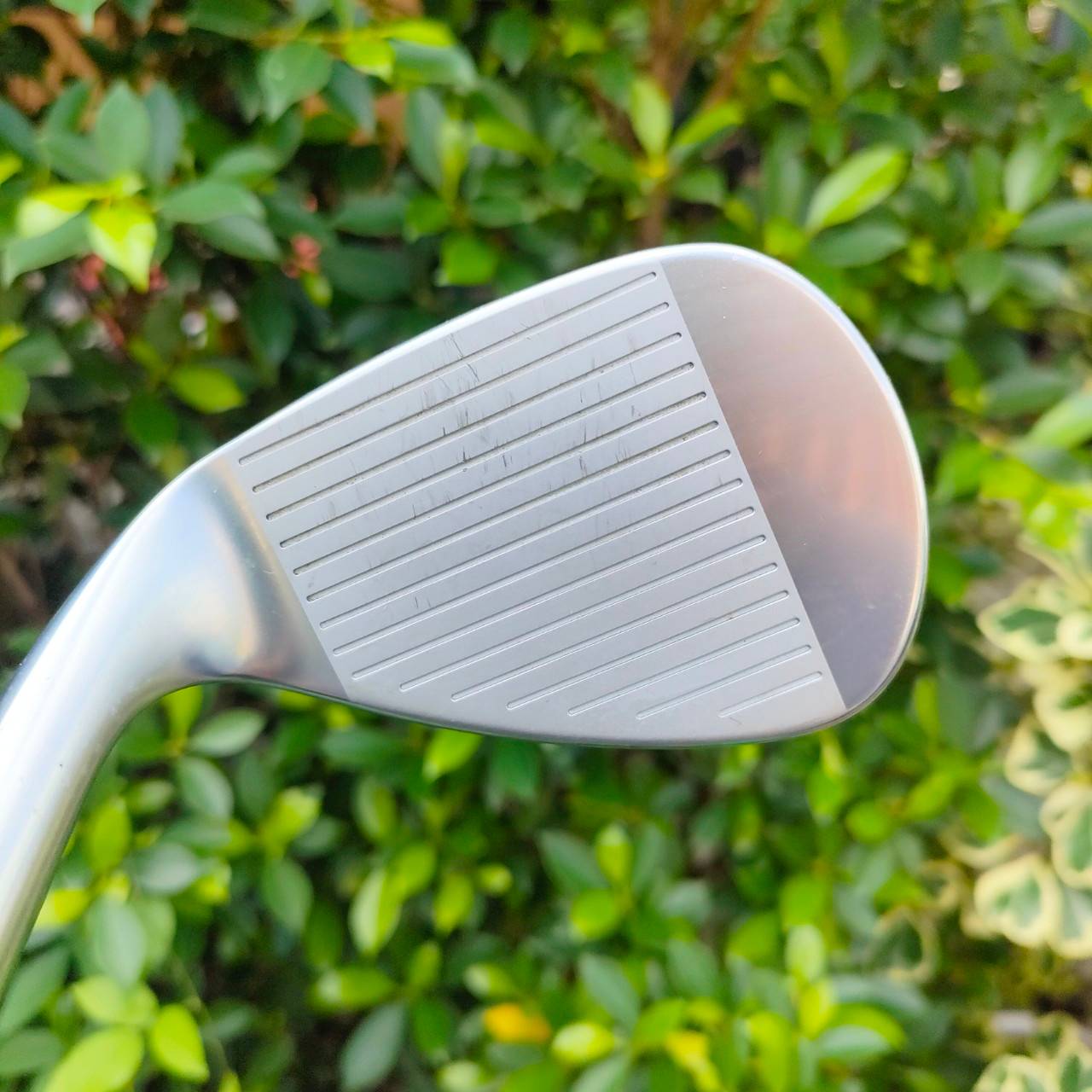 WEDGE CALLAWAY X SERIES JAWS FORGED MD องศา 52 BOUNCE 12