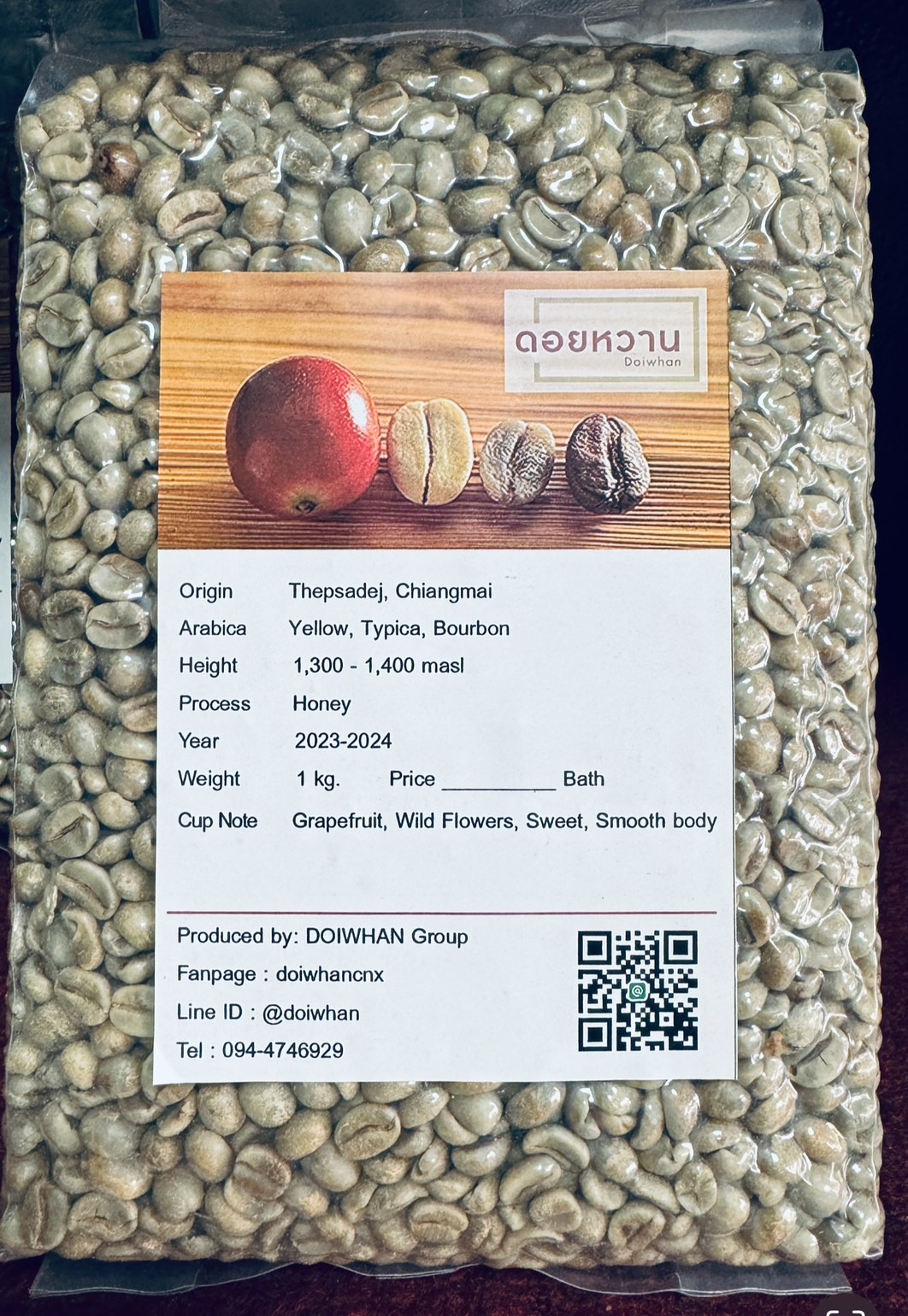 เมล็ดสารกาแฟอาราบิก้า เทพเสด็จ เยลโล่ จ.เชียงใหม่ Yellow Wash process 2023-2024