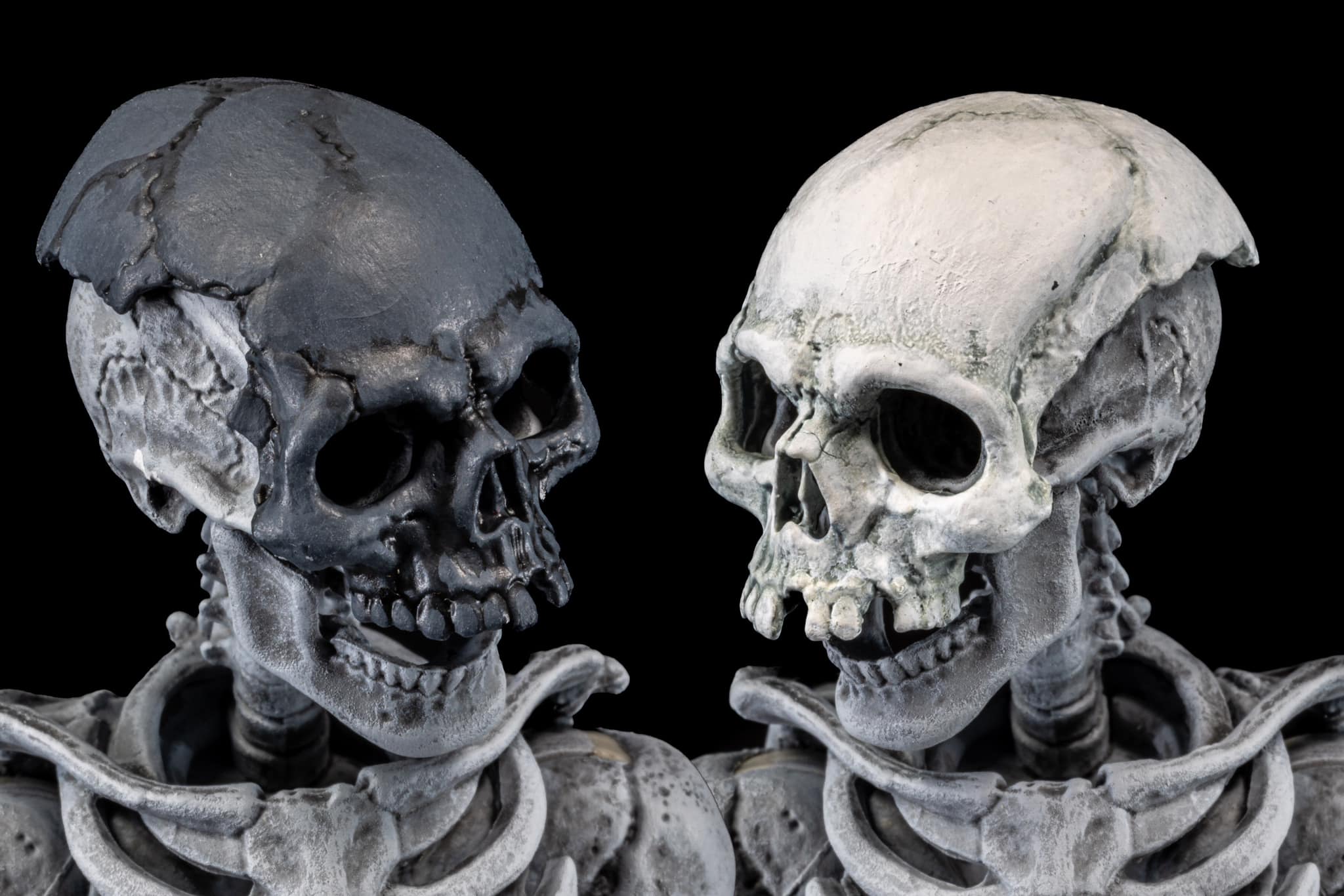 [พร้อมส่ง] Fourhorsemen : GRAVEYARD SKELETONS 4-pack