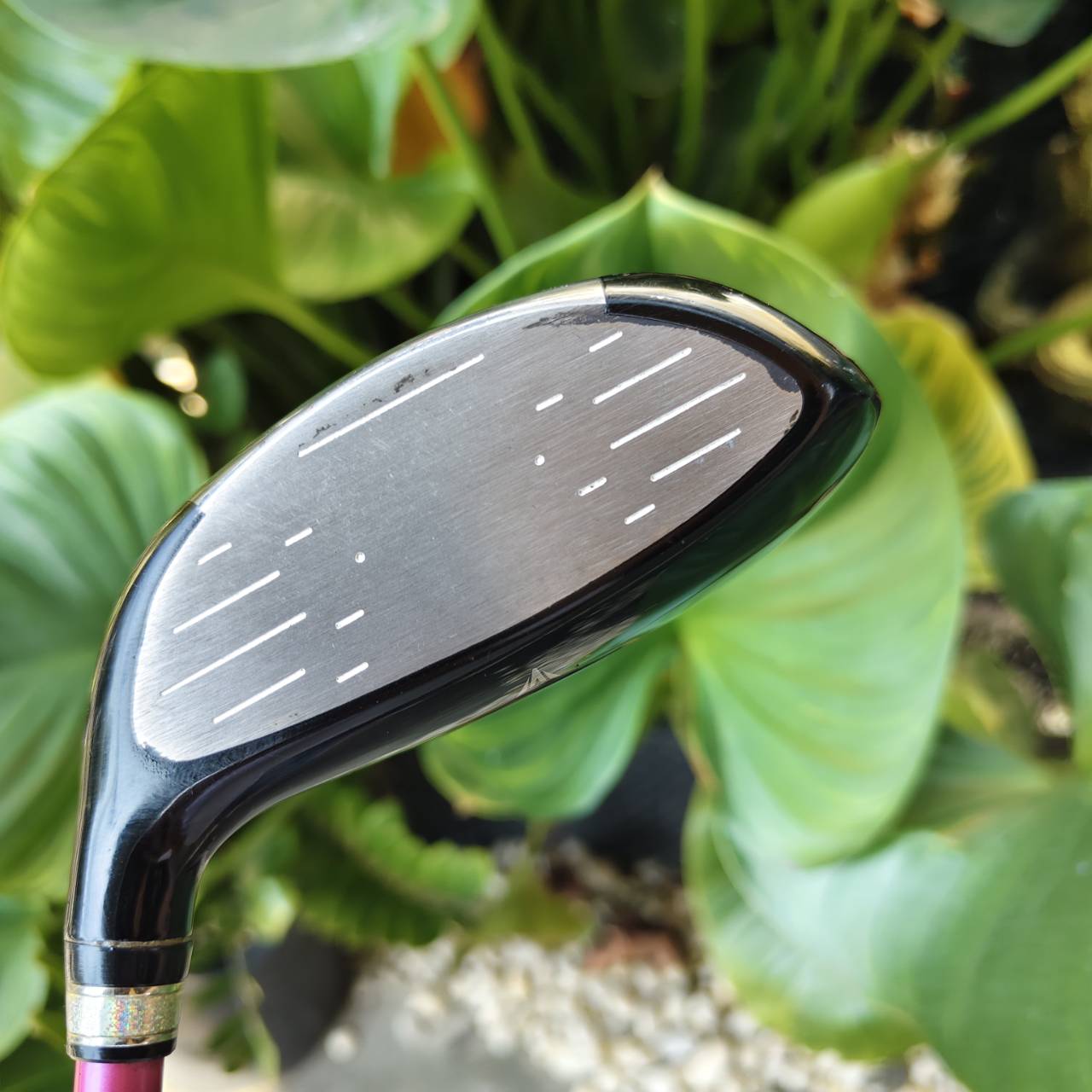 3W XXIO – IMPACT POWER MATCHING ⛳ องศา 15° | ก้านโม ALDILA NV 55A (ฟีลเท่าก้าน R)