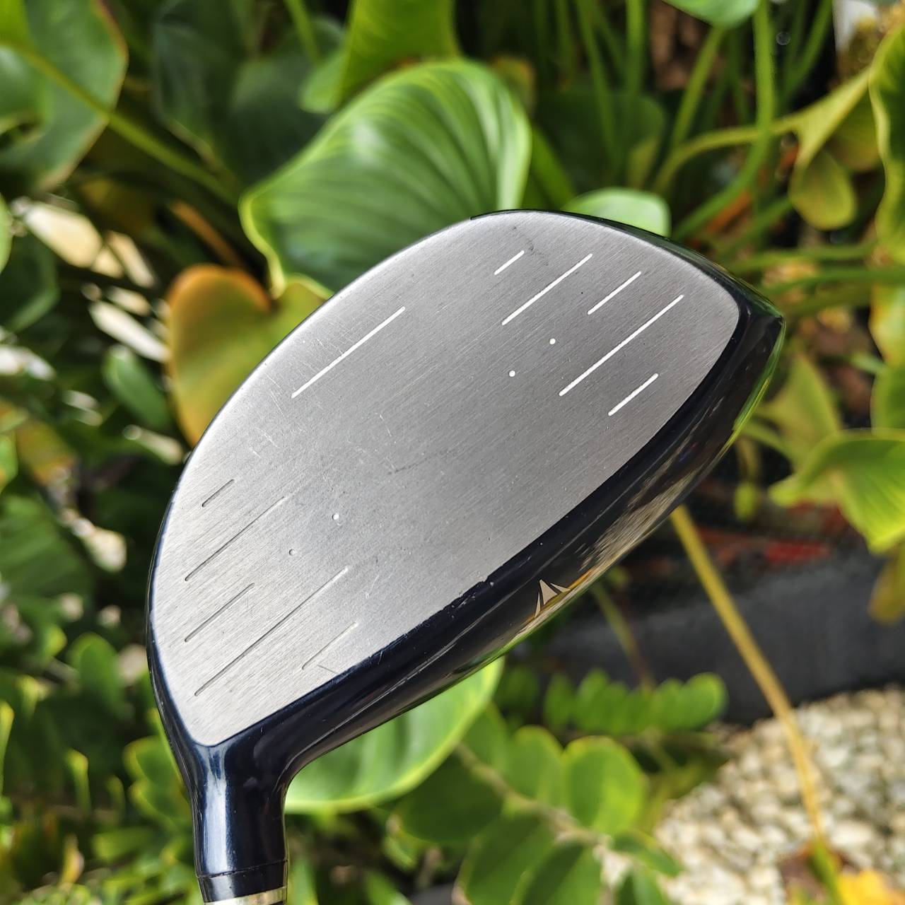 Driver ตัวดังจากญี่ปุ่น! XXIO IMPACT POWER MATCHING – ตีง่าย ฟีลนุ่ม ไกลแบบแทบไม่ต้องออกแรง