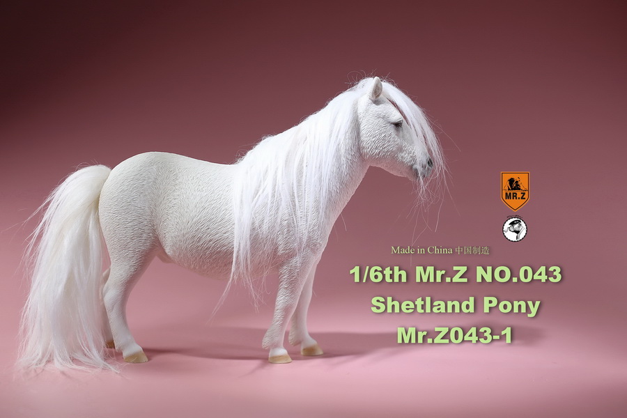 [สั่งจอง]น้องม้าน้อยโพนี่ 1/6 MR. Z Animal Model MRZ043 1/6th Shetland Pony(all 5 colors)