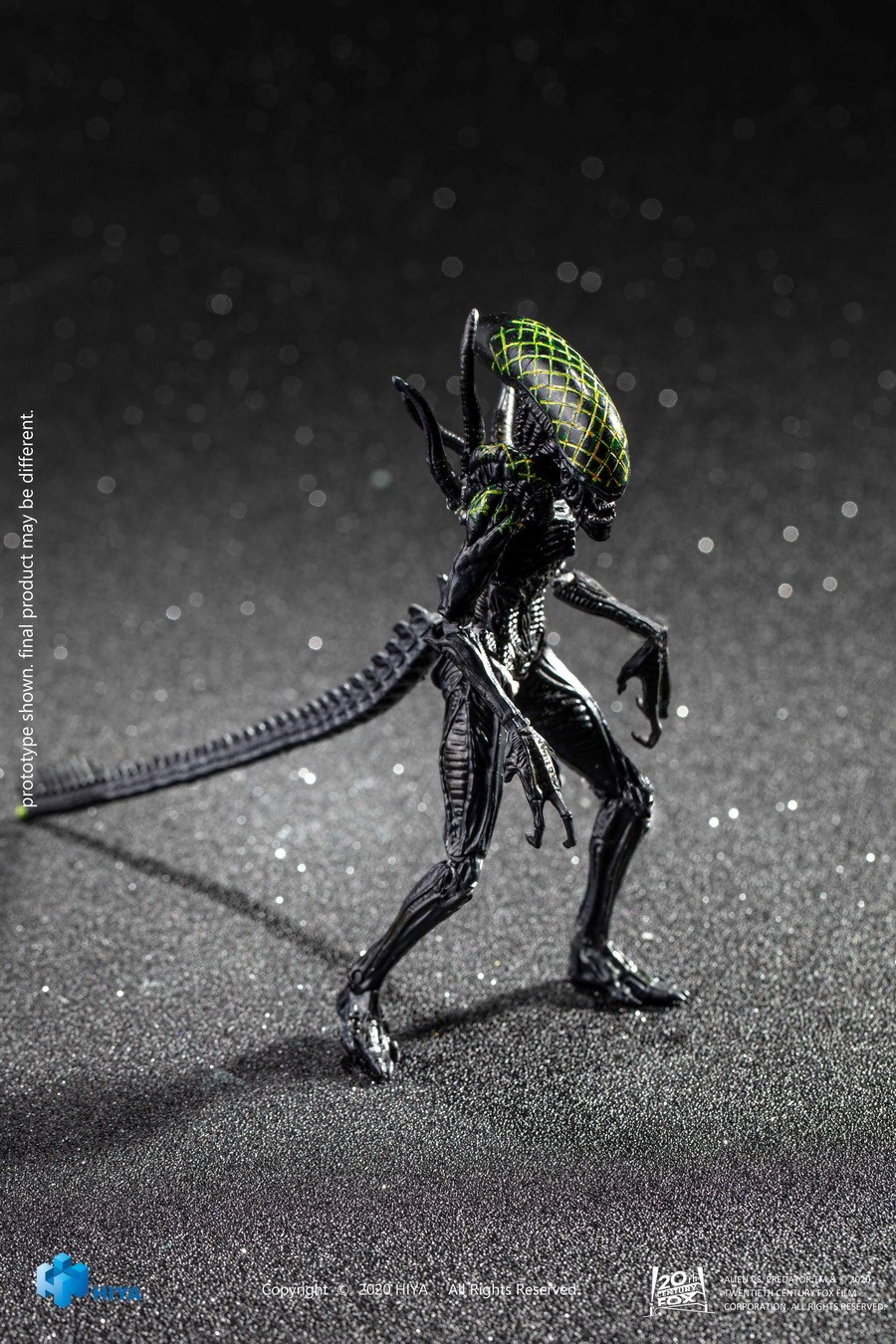 [สั่งจอง]Hiya toys : 1/18 Scale : Alien /Predator