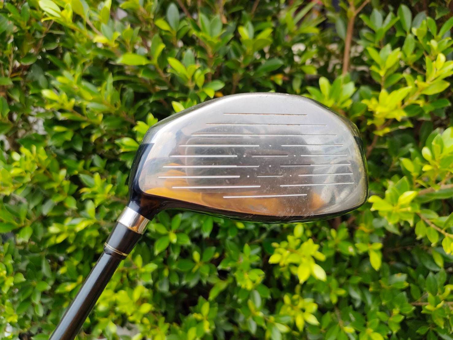 Driver MACTEC NV2