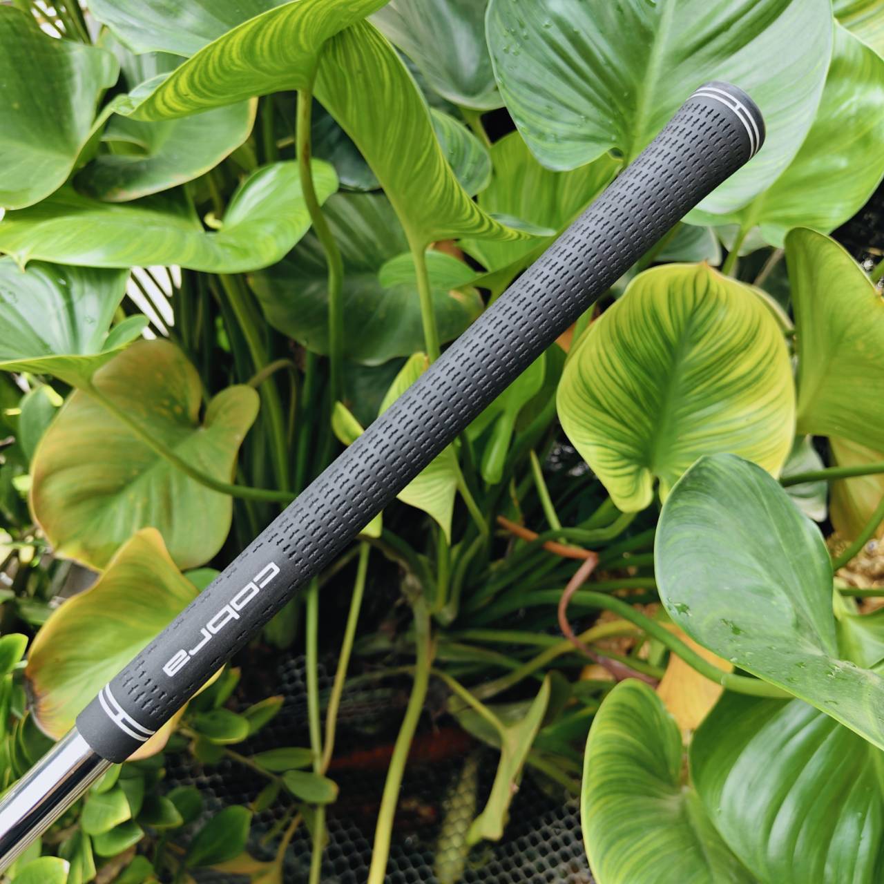 ชุดเหล็ก KING COBRA PRO CB FORGED ชดเชยความผิดพลาดได้ดีมากตามสไตล์ของแบรนด์ Cobra