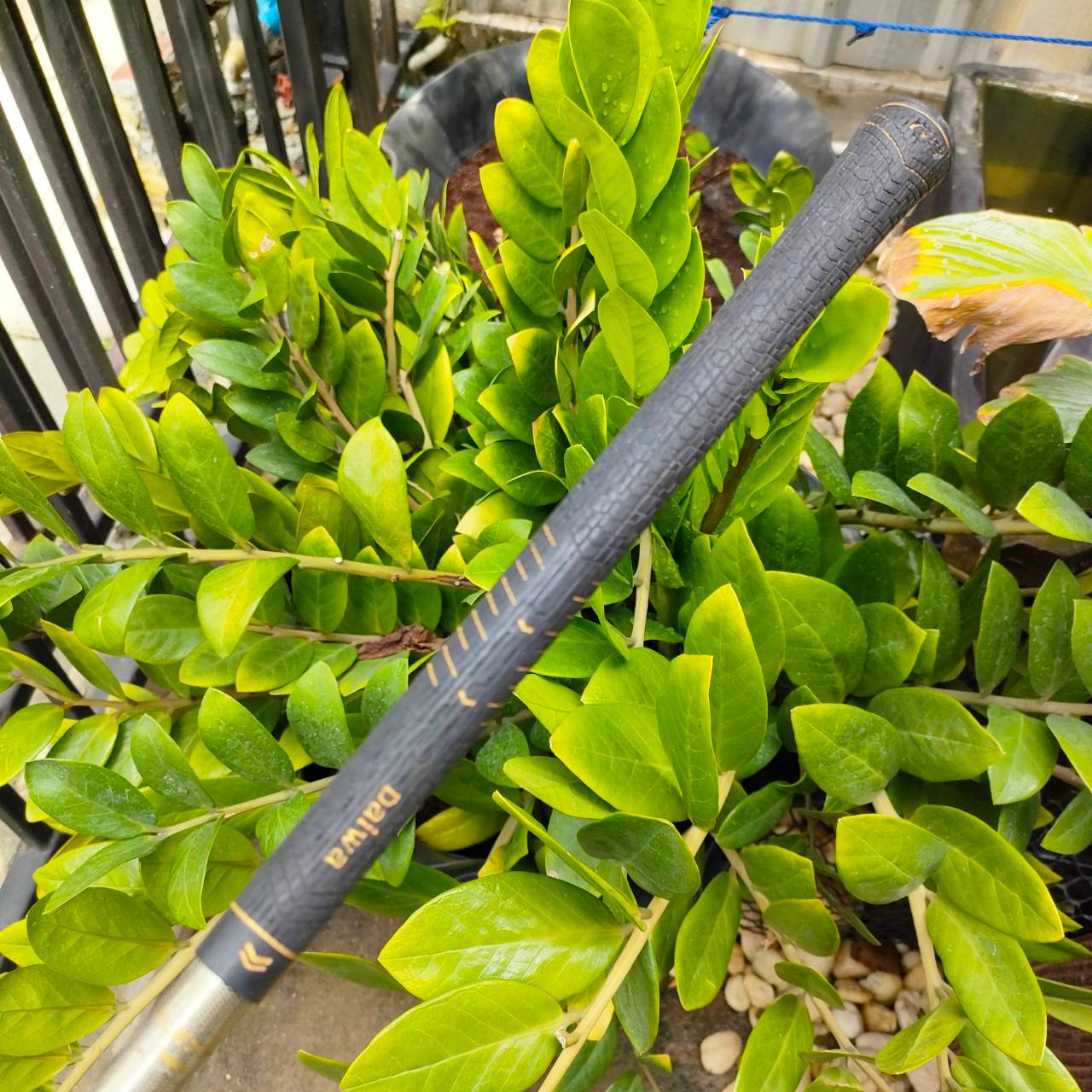 DRIVER DAIWA G-3 SUPER TITAN องศา 11 ก้าน METACARBON R ตีง่าย หน้าเด้ง HYPER Titanium ไม้กอล์ฟมือสอง ของแท้ BY NakaraLuxurious