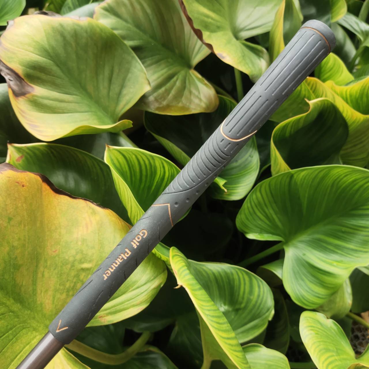 ไม้กอล์ฟผู้หญิง ชุดเหล็ก GOLF PLANNER NOULI จากญี่ปุ่น หน้าเด้ง ตีง่าย ลูกลอยสูง ตีสบายๆก็ไกล