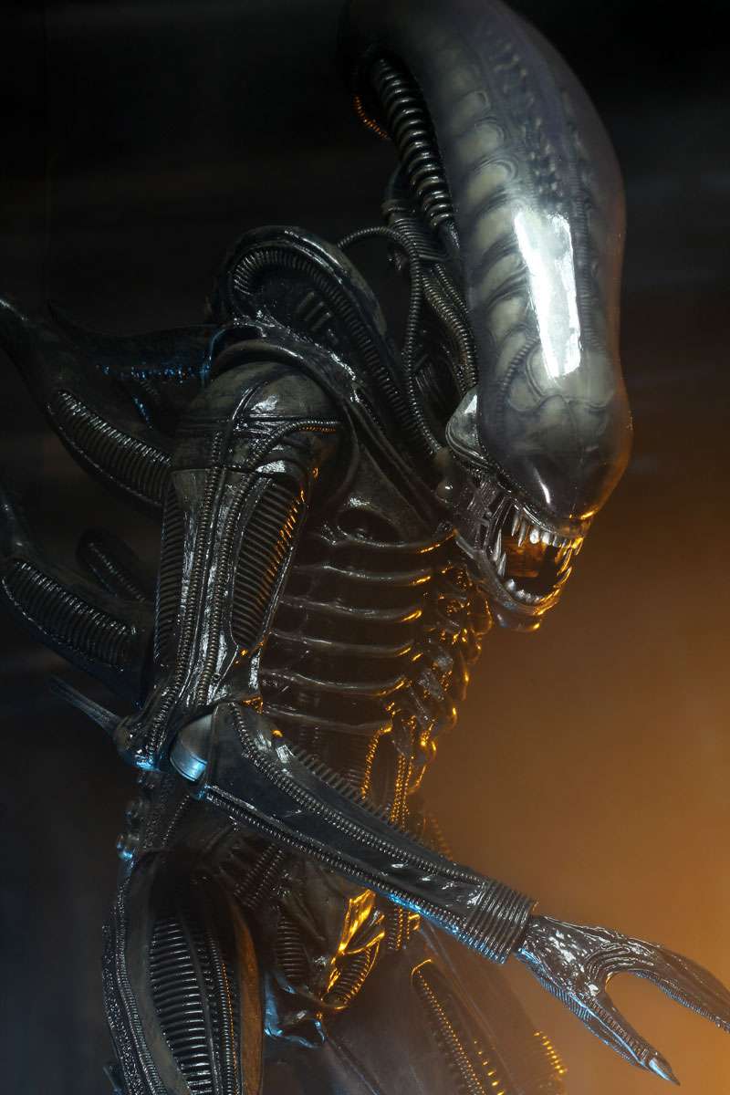 [สั่งจอง] Neca : Alien [Reissue]
