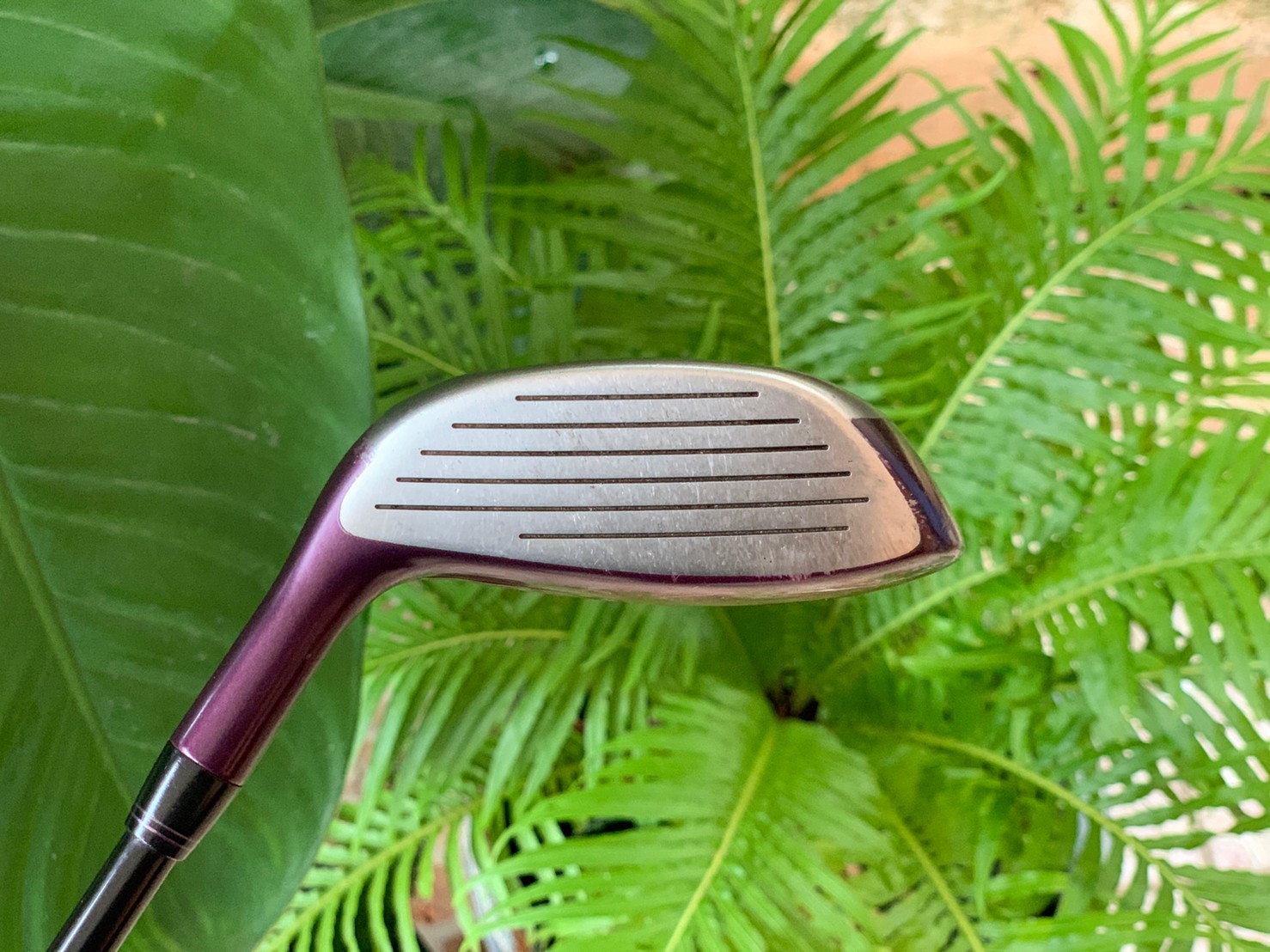 FAIRWAY 4 KASCO DIMPALS LOFT*18 ***ไม้กอล์ฟสำหรับผู้หญิง***