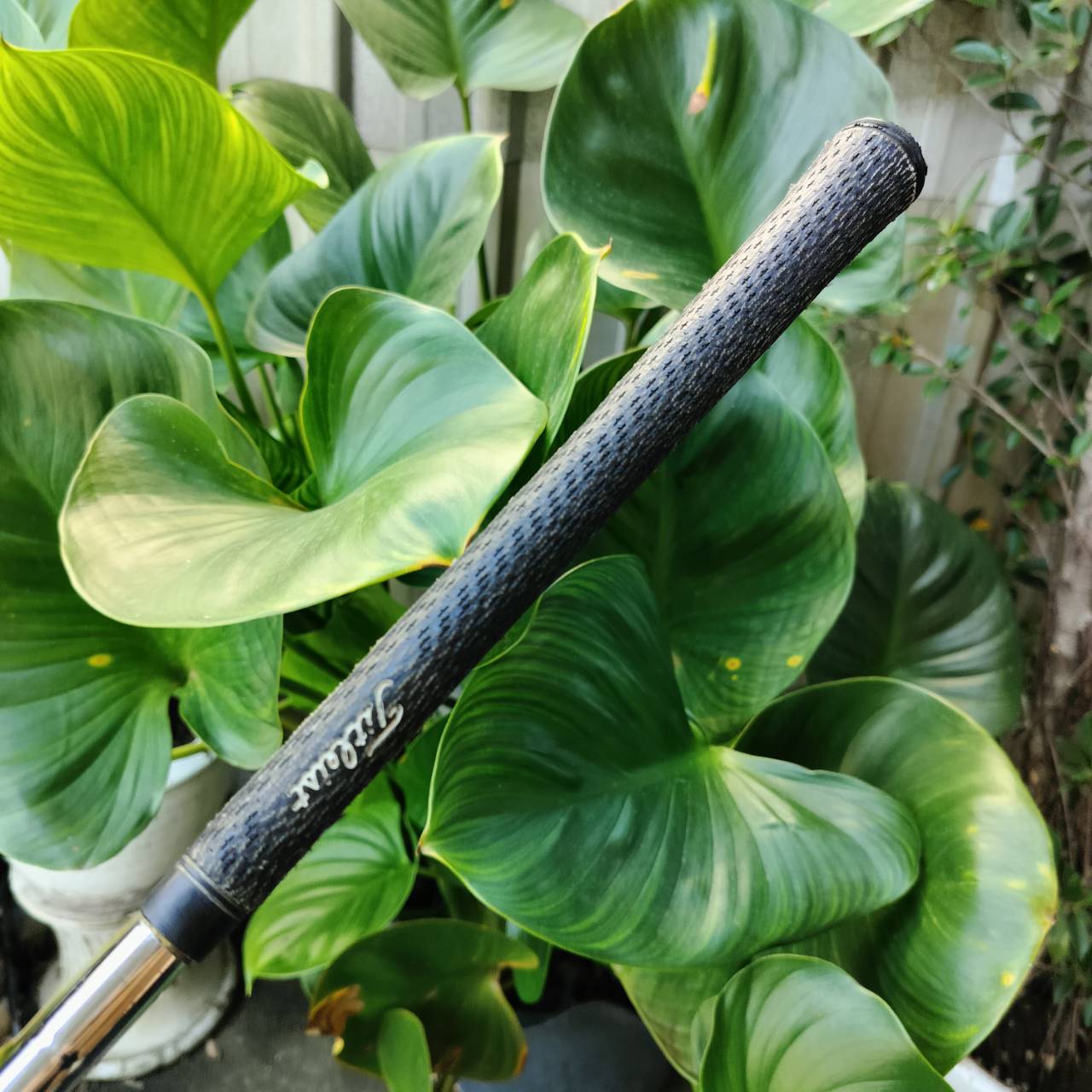 เหล็ก 3 Titleist 690MB FORGED ก้าน DYNAMIC GOLD R300 ก้านดีมาก เข้ากับหัวได้ดีมาก ตีแทง พันช์ๆ เหล็ก FORGED ระดับพรีเมี่ยม ไม้กอล์ฟพรีเมี่ยมมือสอง ของแท้ By NakaraLuxurious