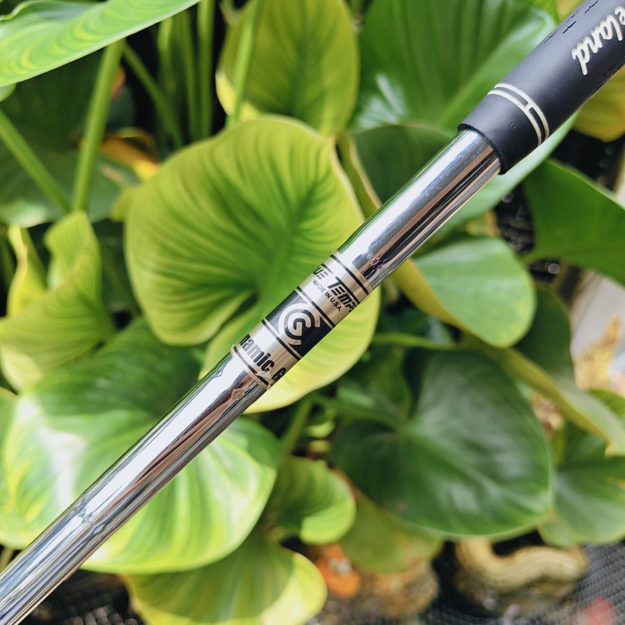 WEDGE CG12 ZIP GROOVE 54° BOUNCE 12 – ช็อตรอบกรีนแม่นยำ ควบคุมง่าย ระเบิดทรายได้ดี!