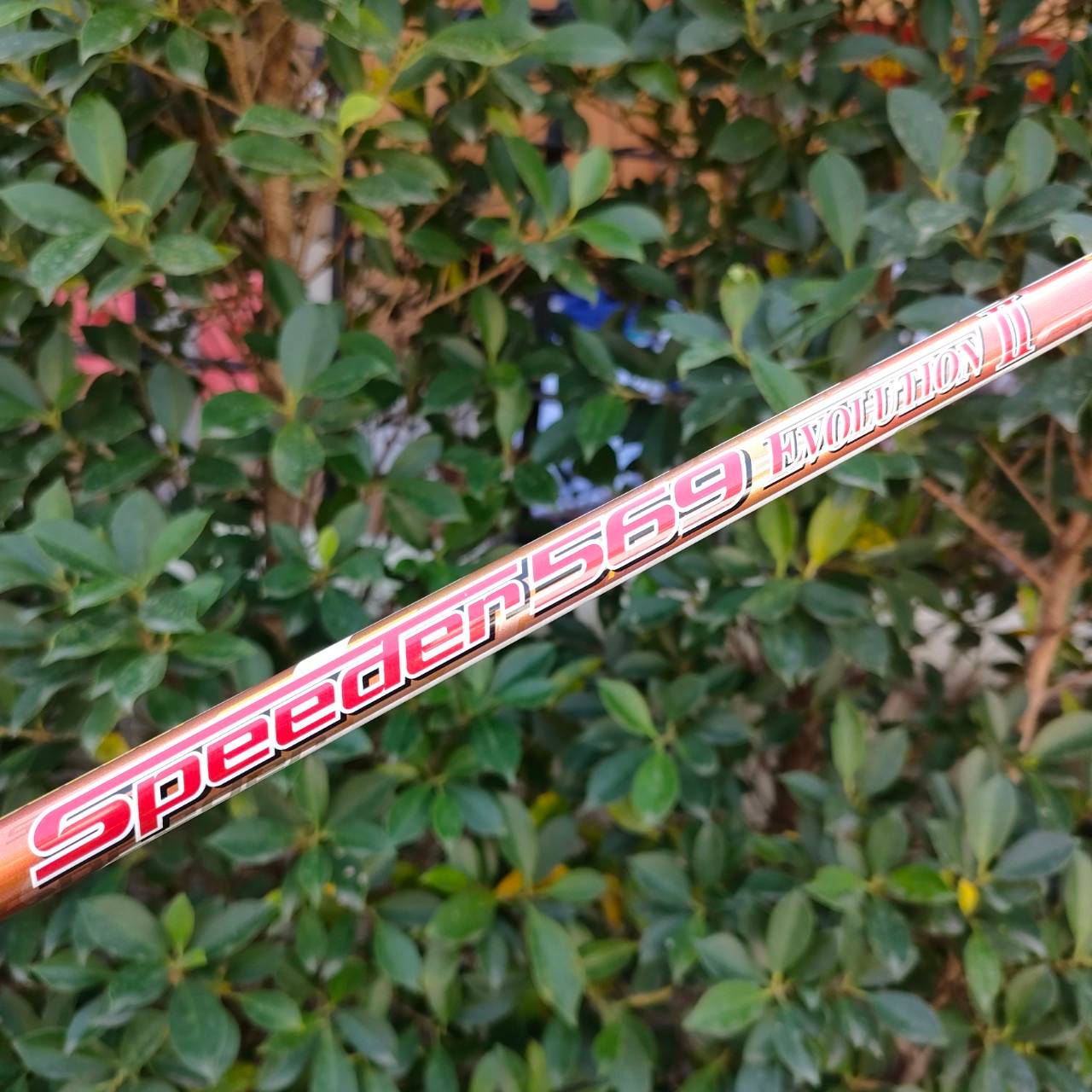 DRIVER TAYLORMADE GLOIRE SPEED POCKET องศา 10 ก้าน FUJIKURA SPEEDER 569 EVOLUTION II FLEX SR