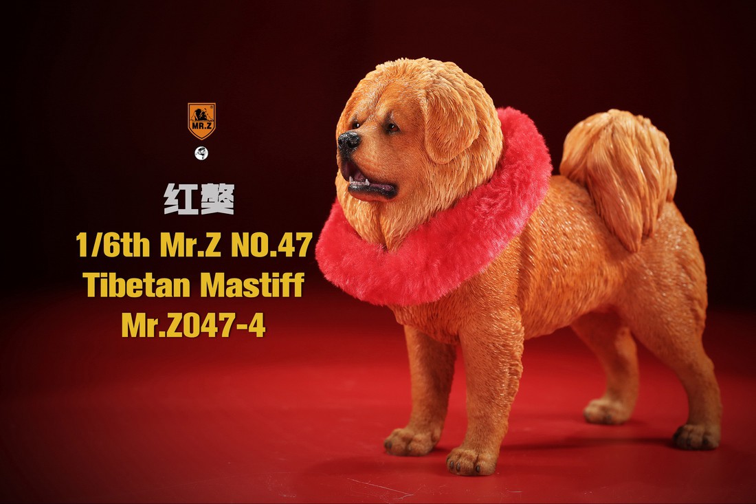 [สั่งจอง] MR. Z Animal Model MRZ047 1/6th Tibetan Mastiff