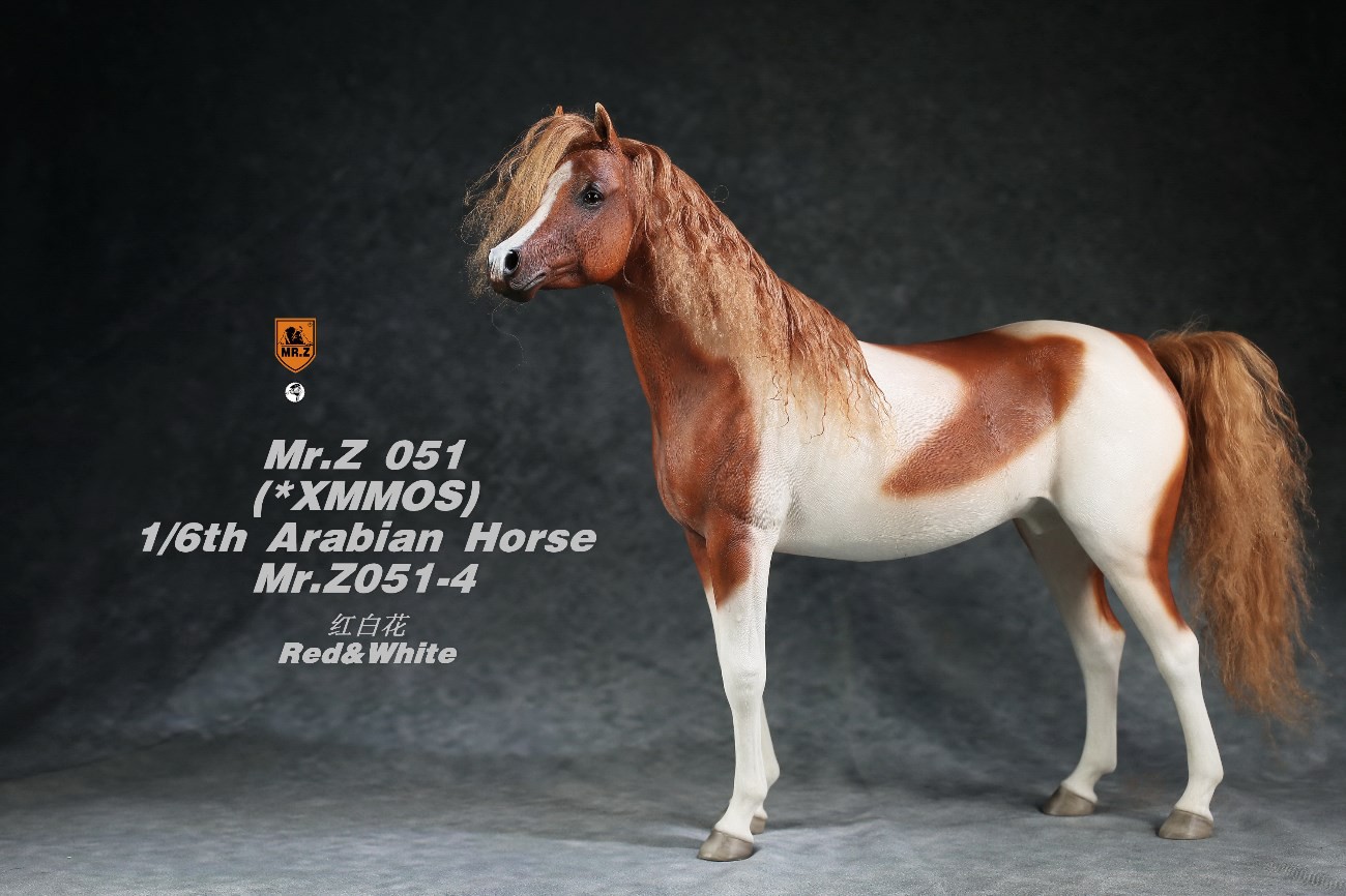 [สั่งจอง]Mr.Z MRZ051 1/6 animal model : Arabian Horse